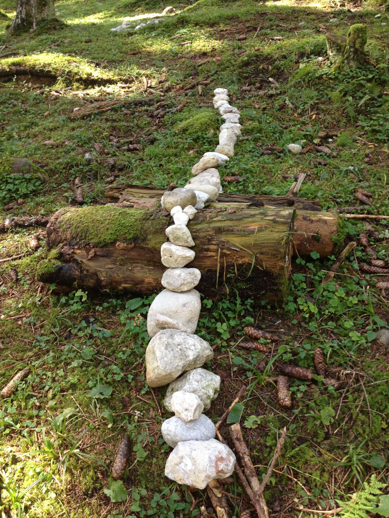Apple iPhone 4S sample photo. Stones, forest, away photography