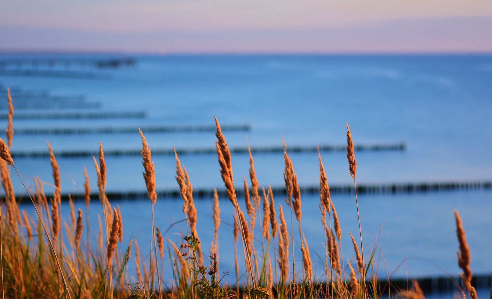 Nikon D5200 sample photo. Sunset, blue hour, baltic photography