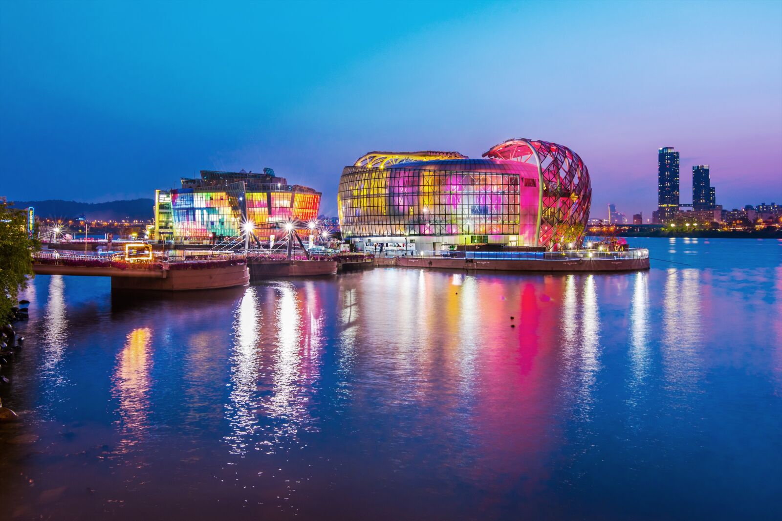 Nikon D750 sample photo. Korea, seoul, han river photography