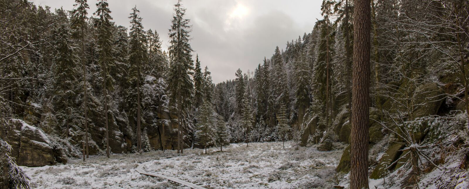 Canon EOS 750D (EOS Rebel T6i / EOS Kiss X8i) sample photo. Nature, snow, tree photography