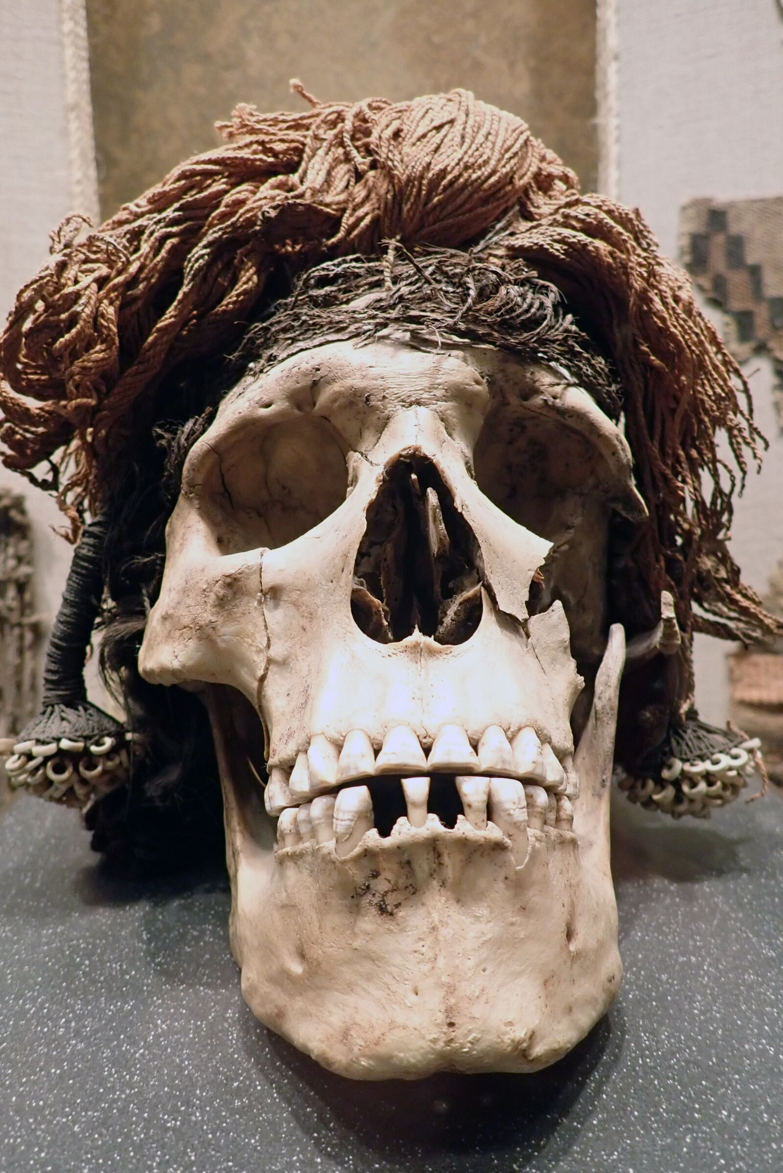 Olympus TG-5 sample photo. Skull, anthropology, archeology photography