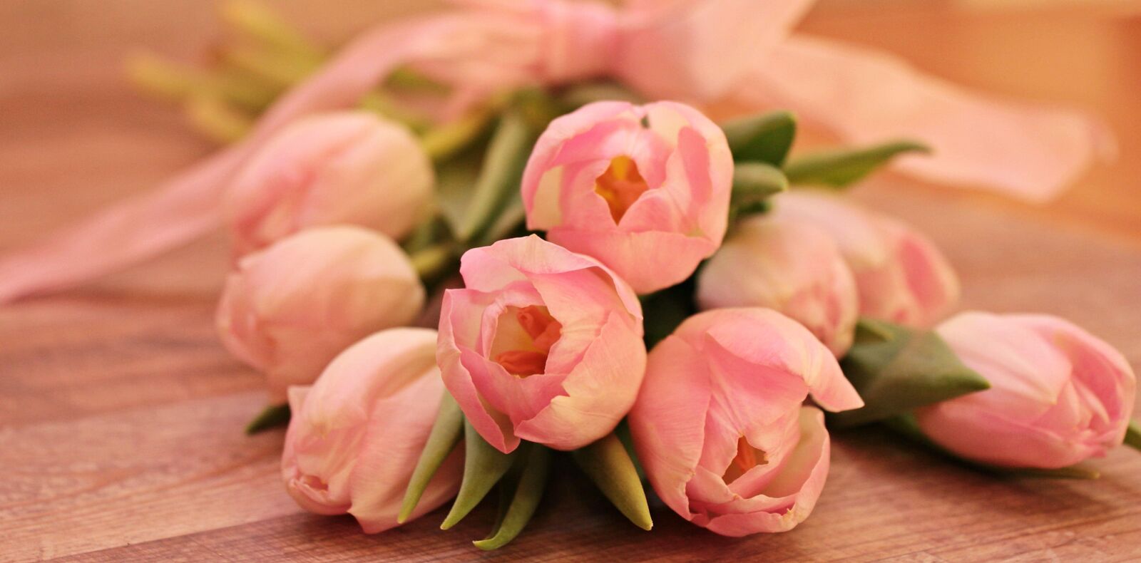 Canon EOS 550D (EOS Rebel T2i / EOS Kiss X4) sample photo. Flower, pink, rose, bouquet photography
