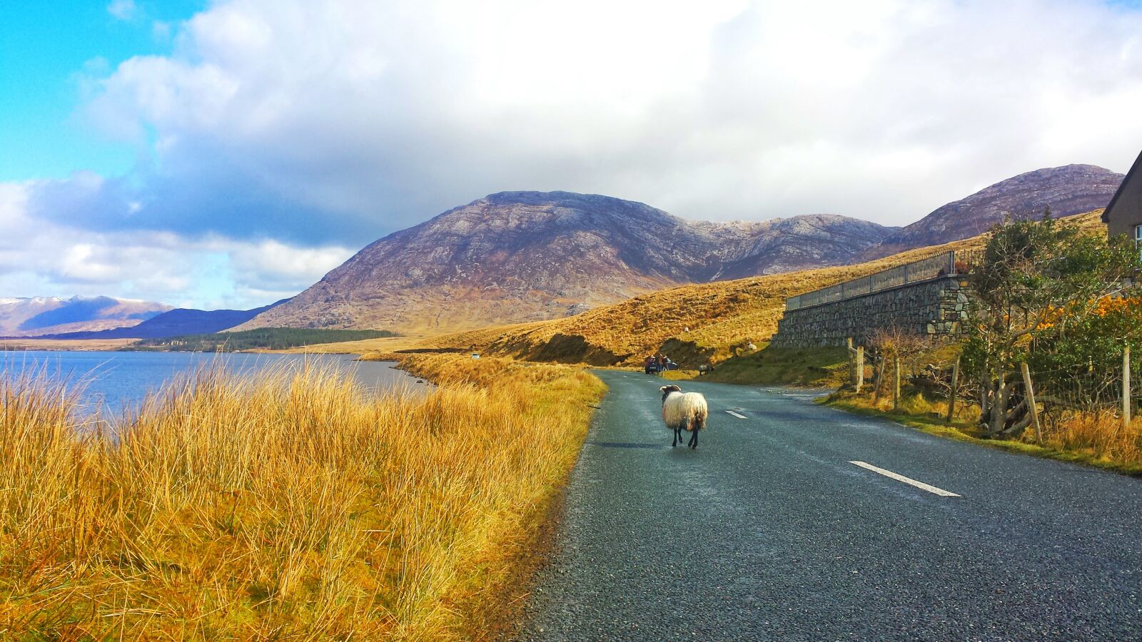 Samsung Galaxy S4 sample photo. Ireland, connemara, europe photography