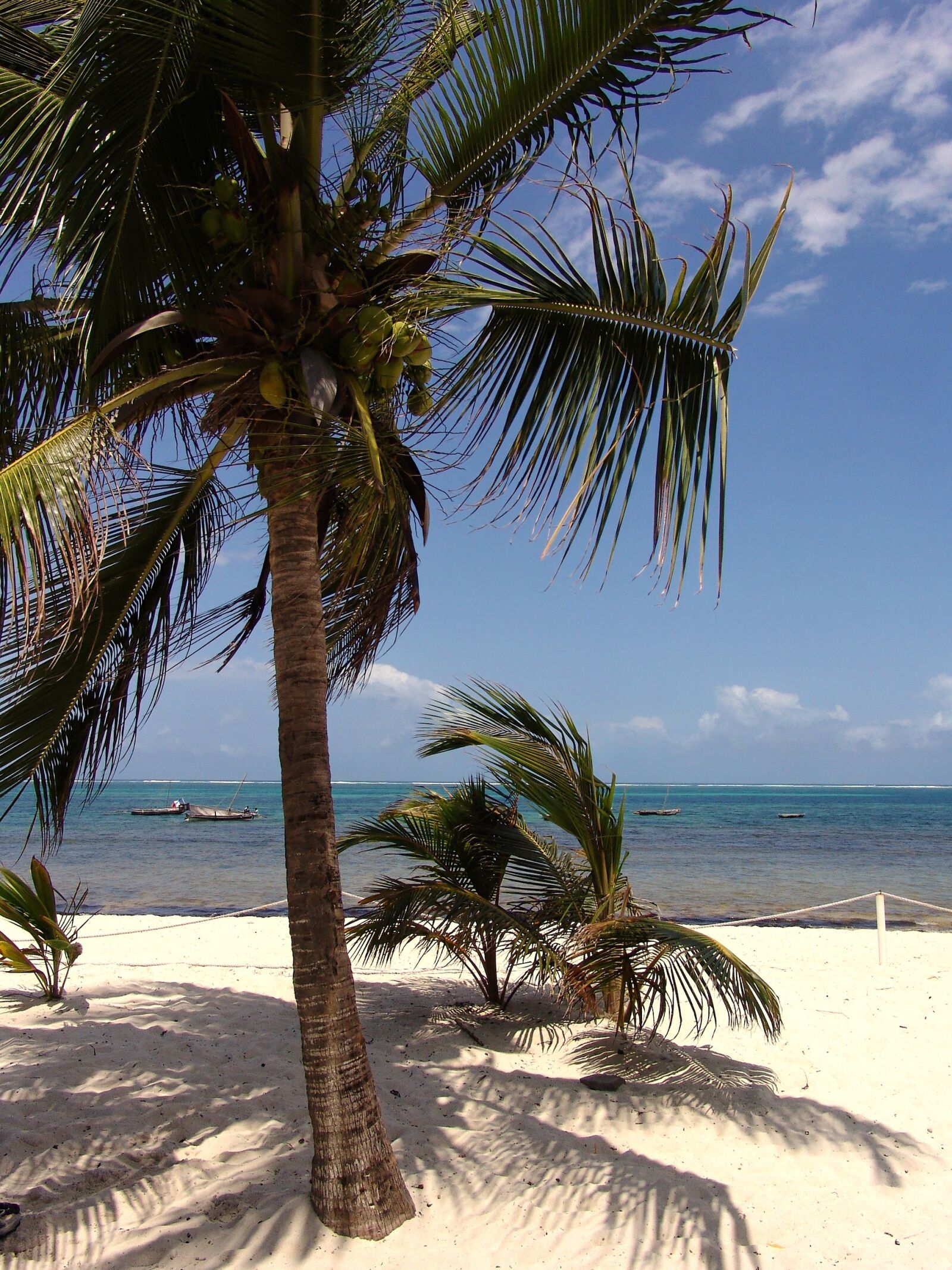 Sony DSC-F828 sample photo. Africa, beach, ocean photography