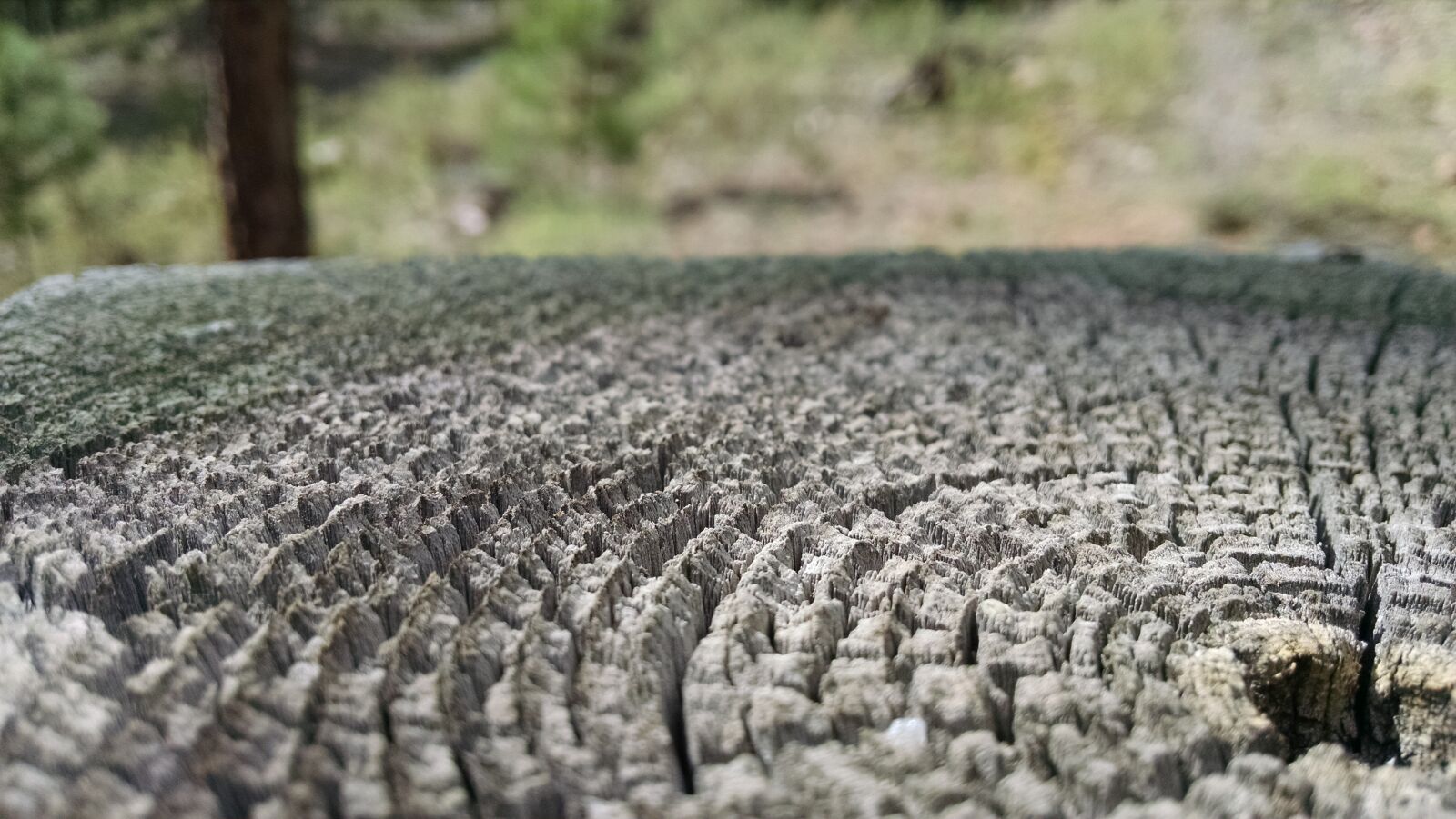 Motorola XT1080 sample photo