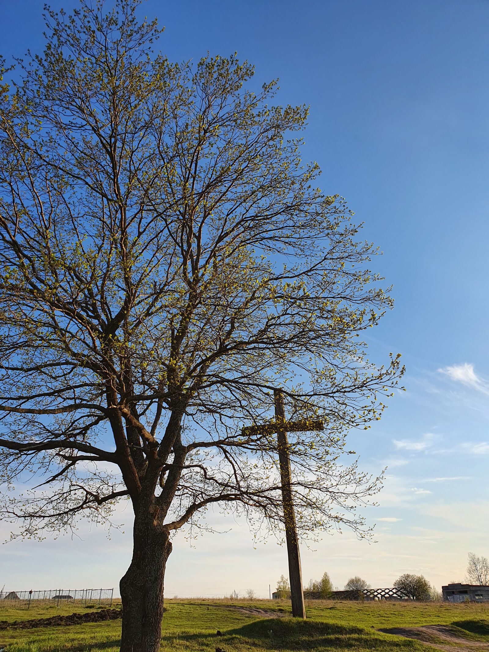 Samsung Galaxy S10 sample photo. Tree, sky, cross photography