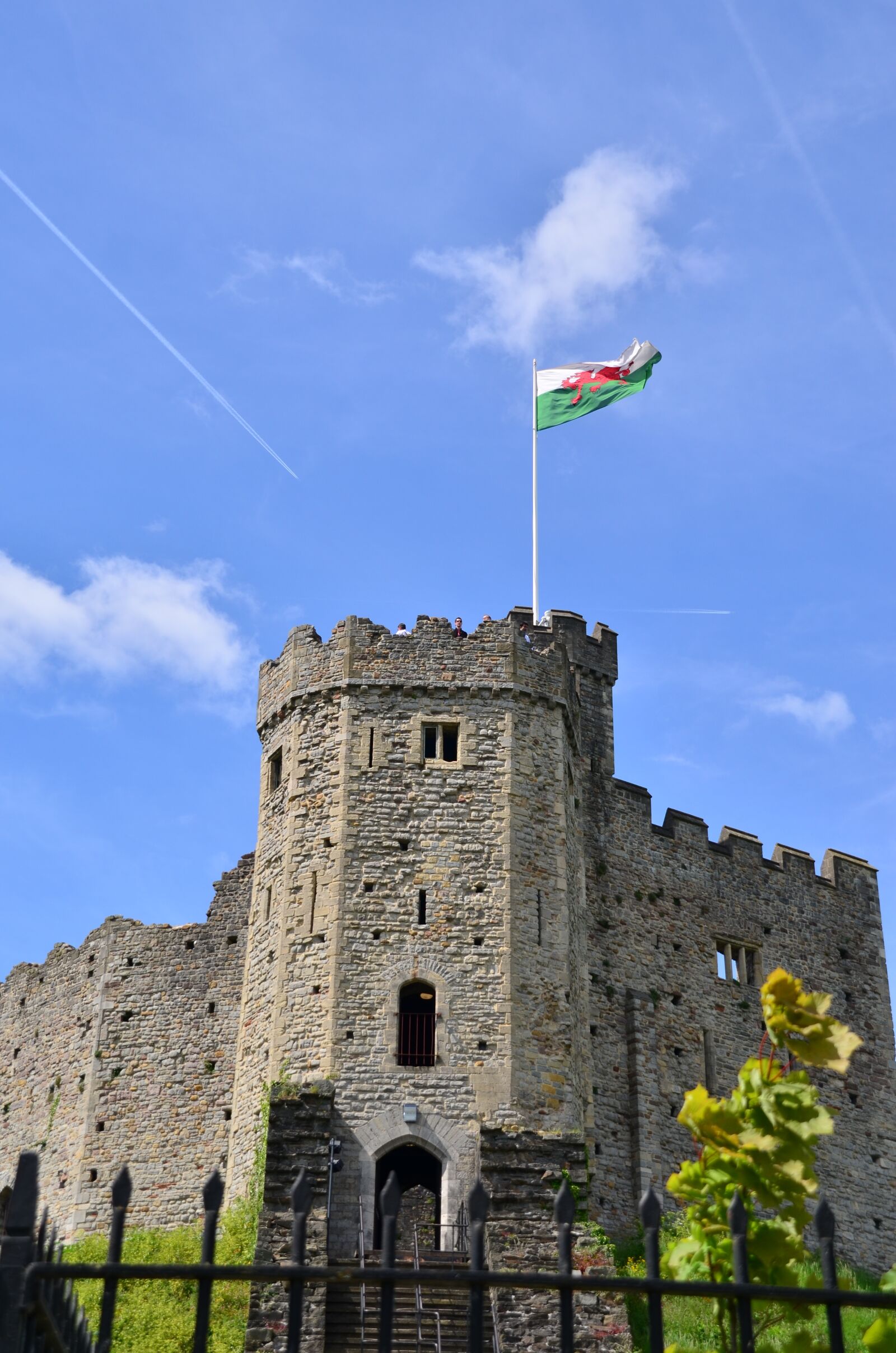 Nikon D5100 sample photo. Castle, medieval, flag photography