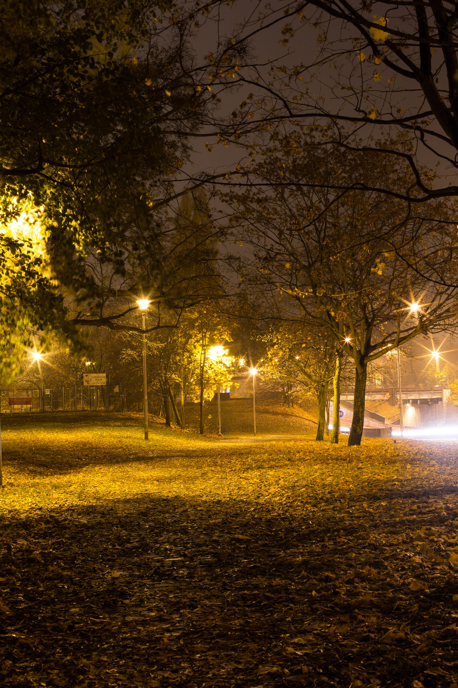 Canon EOS 6D + Canon EF 50mm F1.4 USM sample photo. Autumn, city, freemasonry, lanterns photography