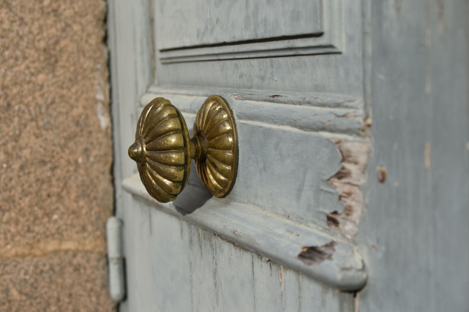 Nikon D5600 sample photo. Handle, door, metal photography
