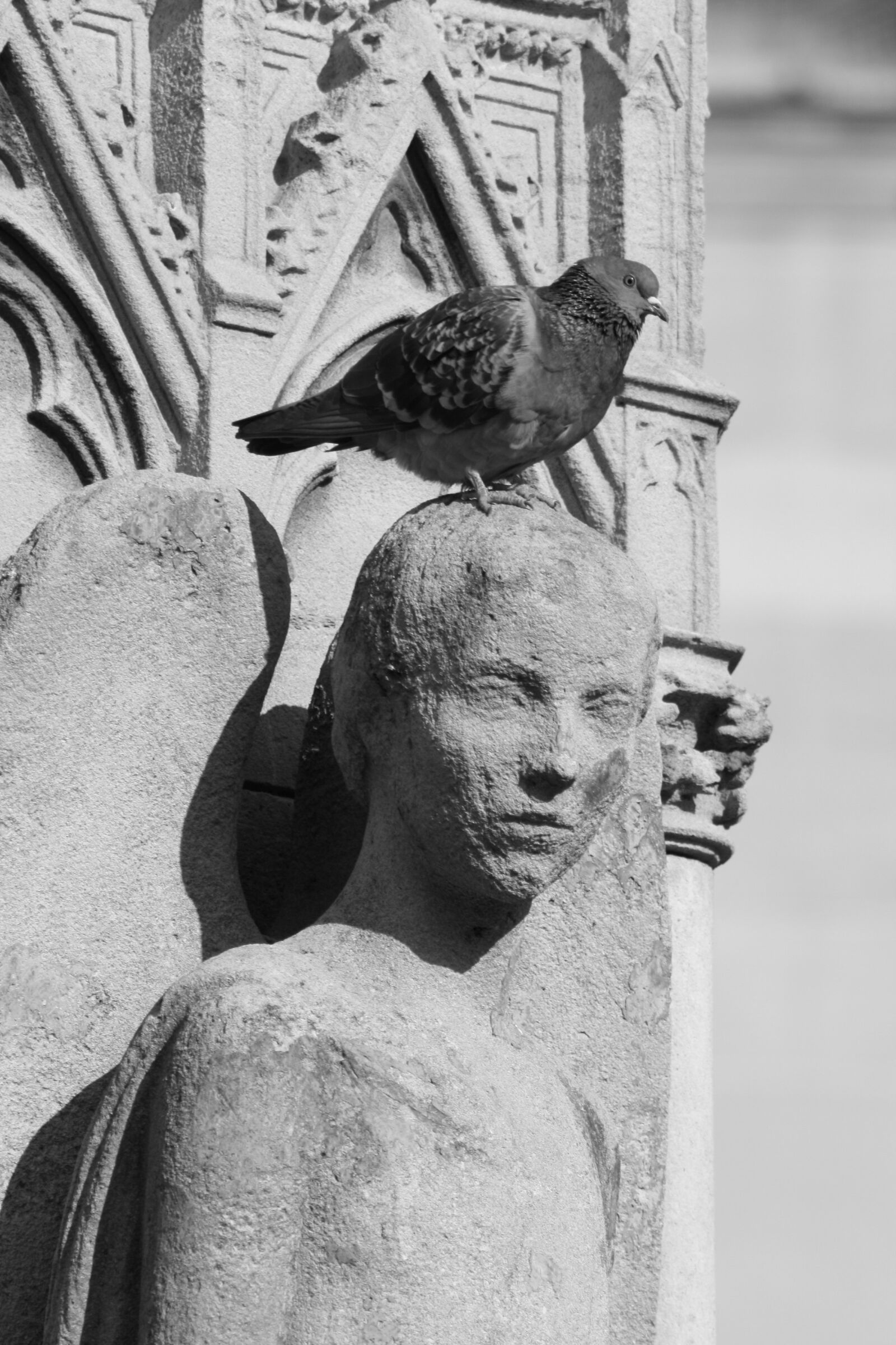 Canon EOS 400D (EOS Digital Rebel XTi / EOS Kiss Digital X) sample photo. Sculpture, black and white photography