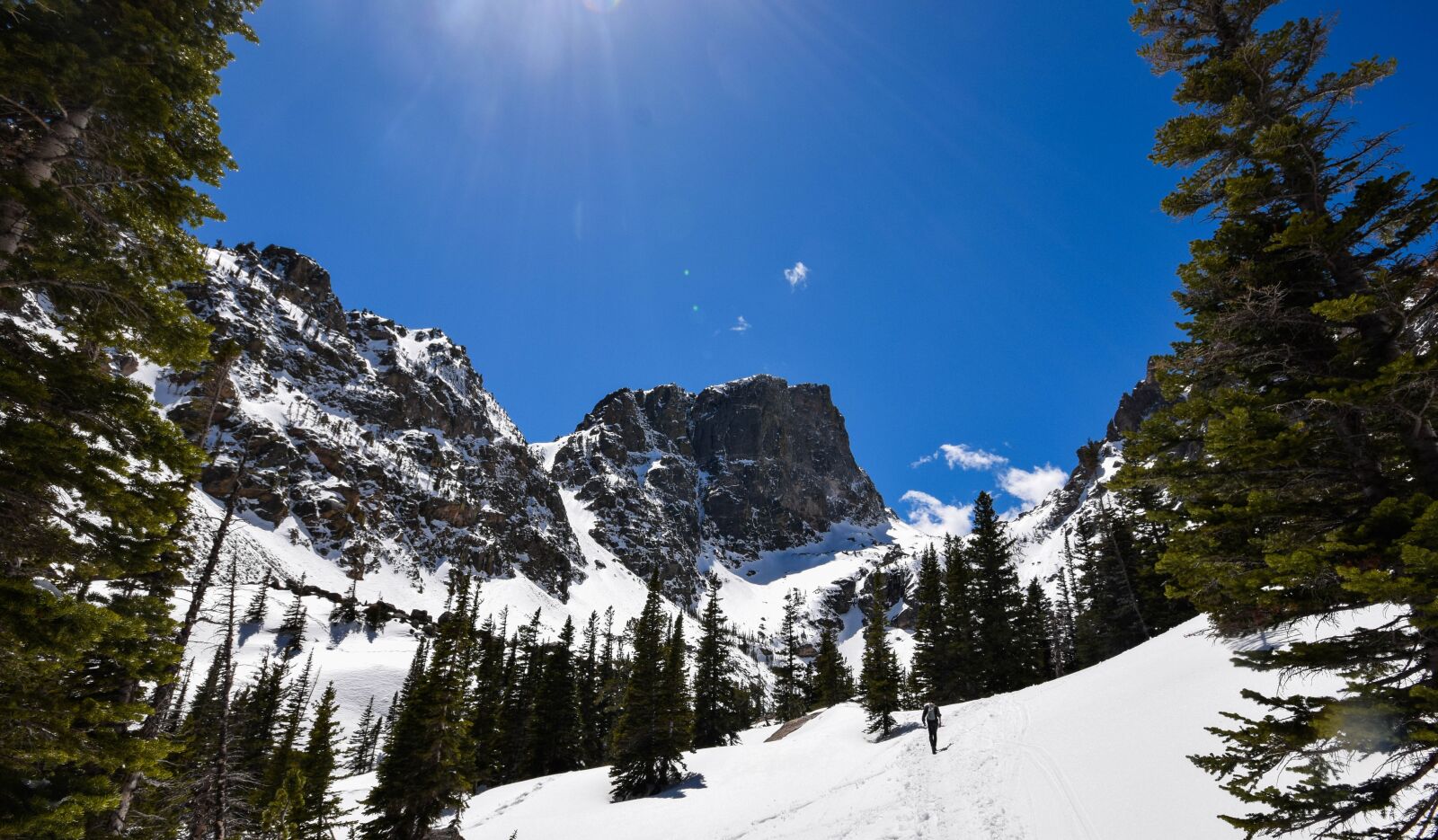 Nikon D5300 sample photo. Alpine, cold, conifer photography