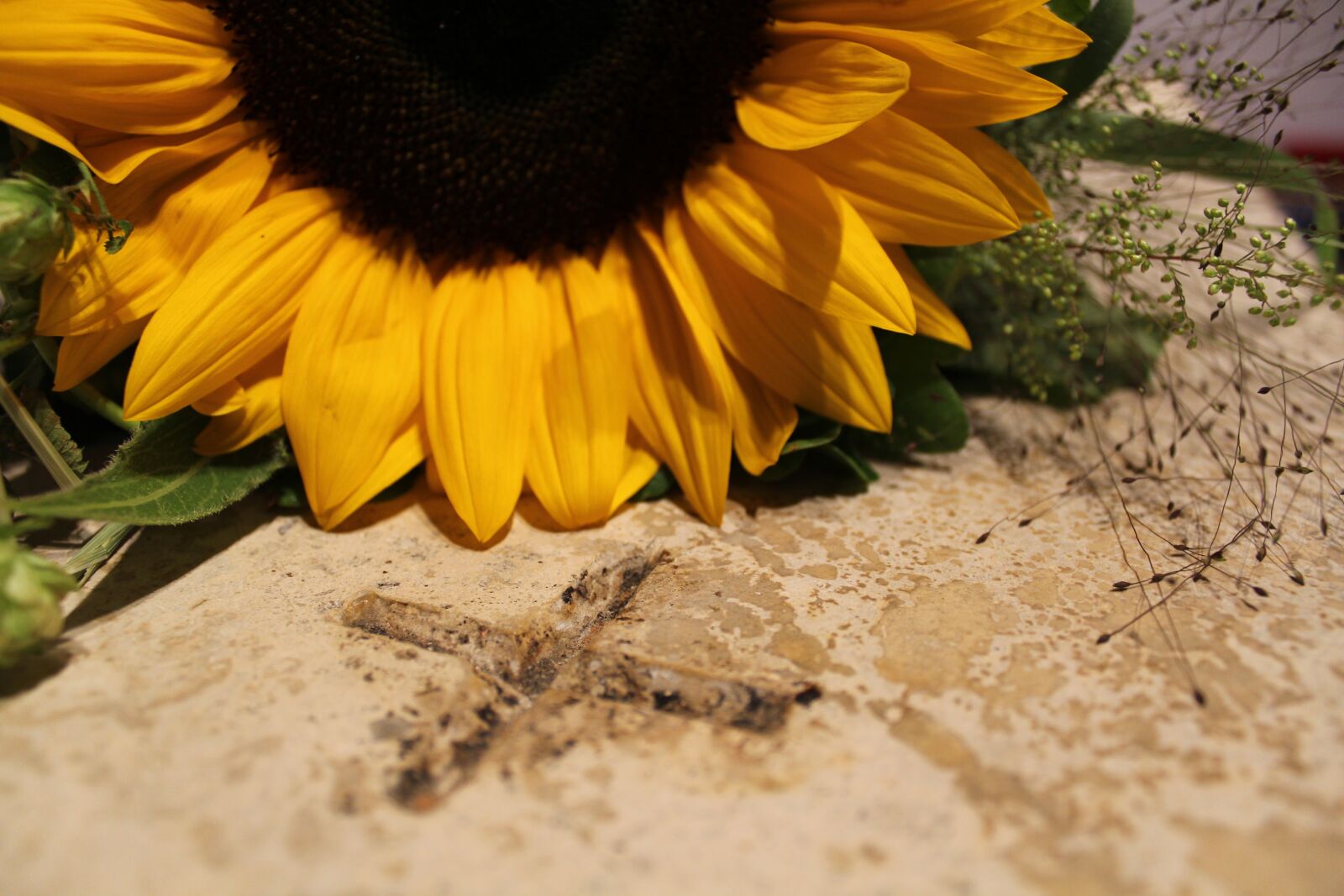 Canon EOS 600D (Rebel EOS T3i / EOS Kiss X5) sample photo. Cross, sunflower, stone photography