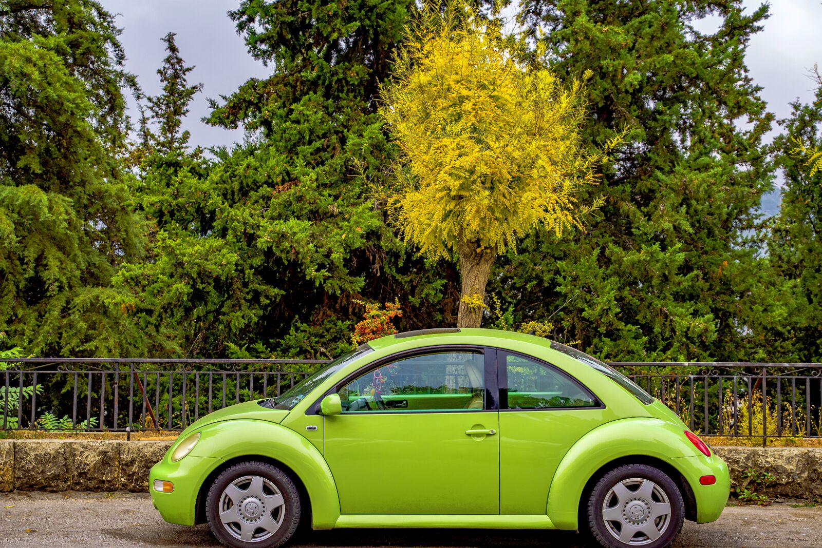 Pentax K-1 Mark II sample photo. Car, beetle, volkswagen photography
