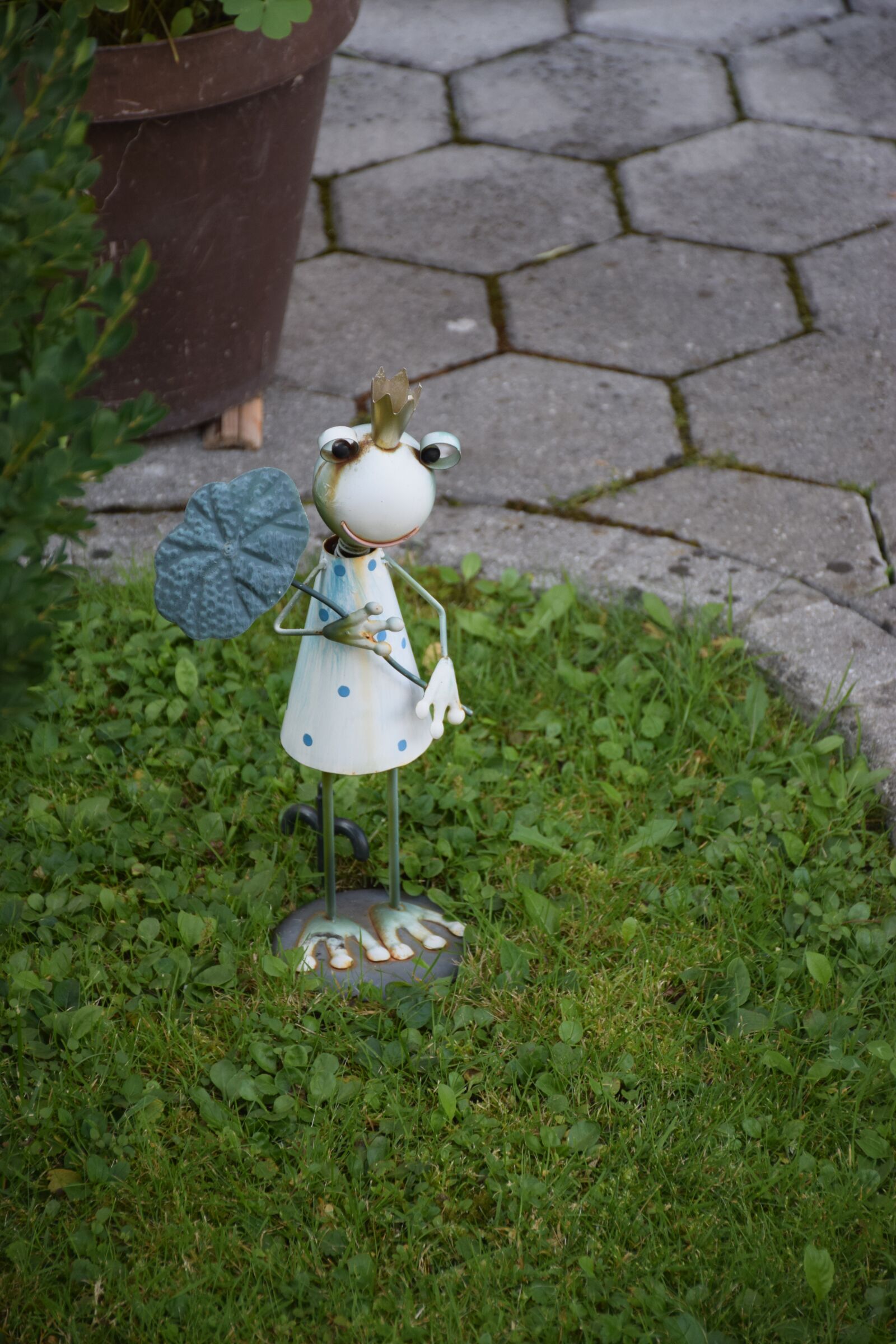 Nikon D5300 sample photo. Garden, ornament, frog photography