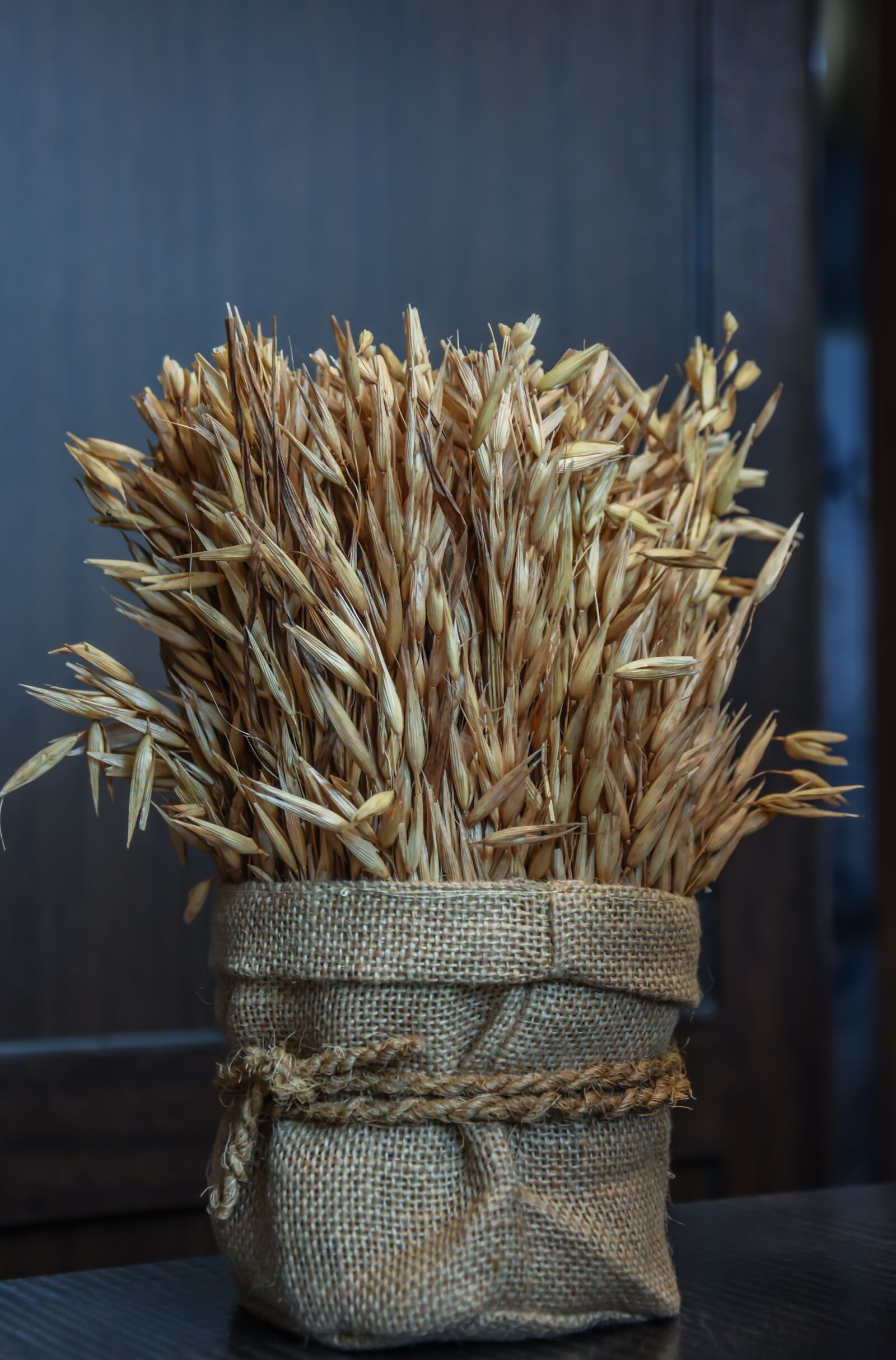 Nikon D7200 sample photo. Wheat, grain, agriculture photography