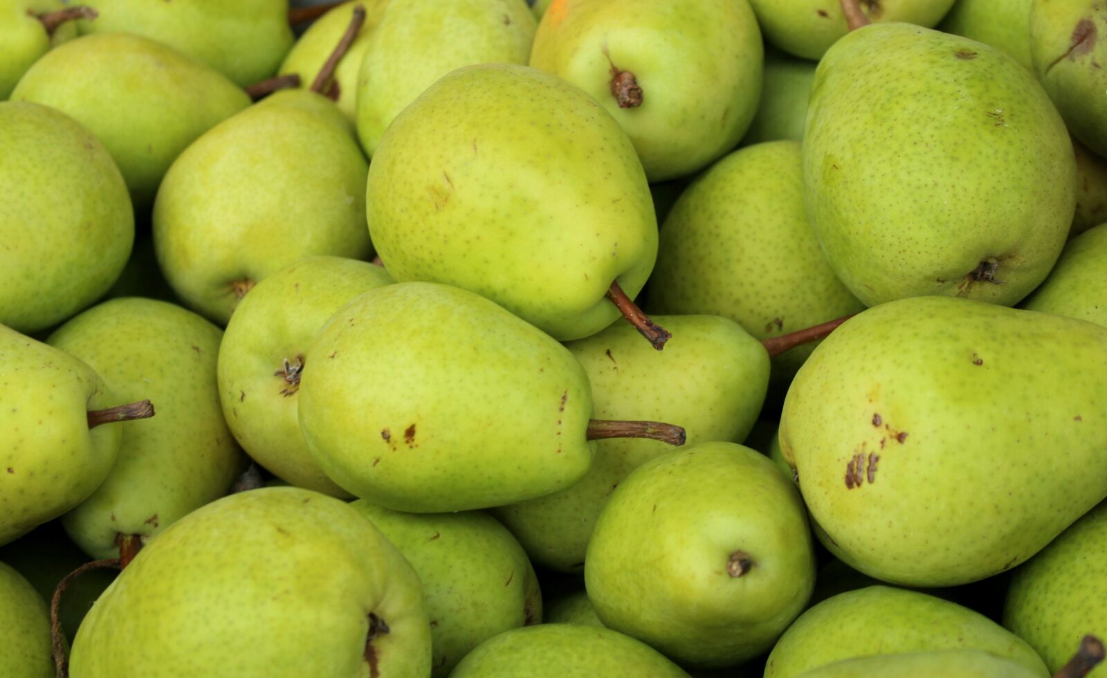 Canon EOS 1200D (EOS Rebel T5 / EOS Kiss X70 / EOS Hi) sample photo. Pears, pear, fruit photography