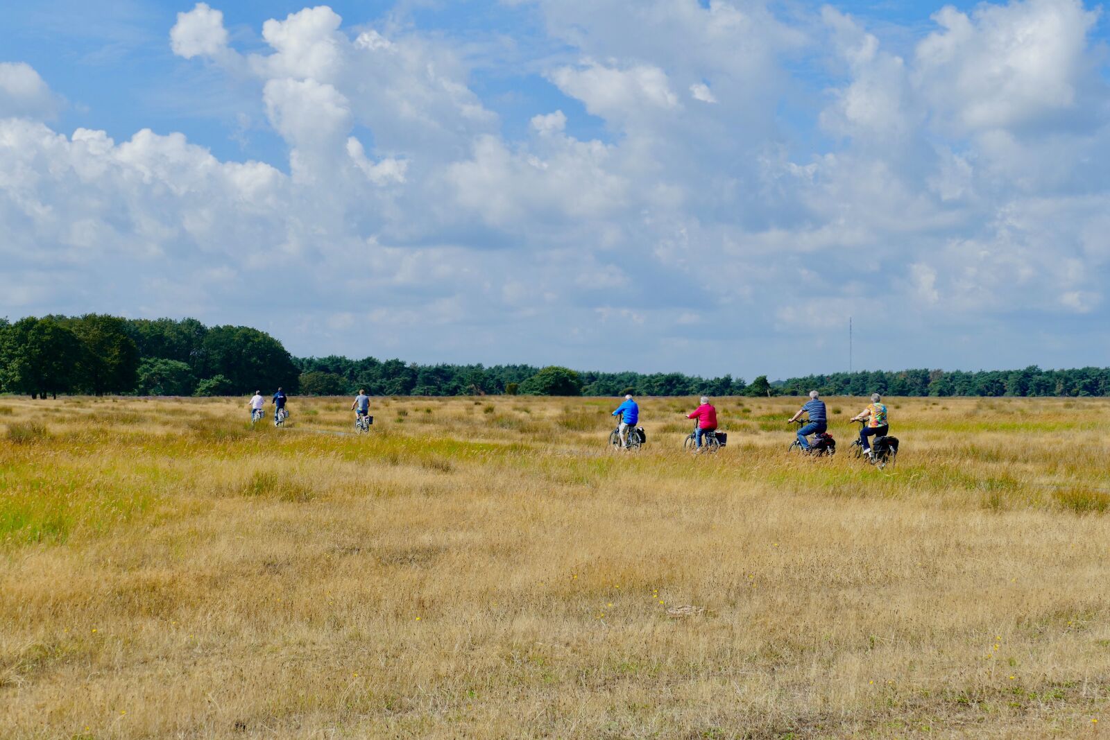 Panasonic Lumix DMC-FZ1000 sample photo. Bicycle, cyclists, heide photography