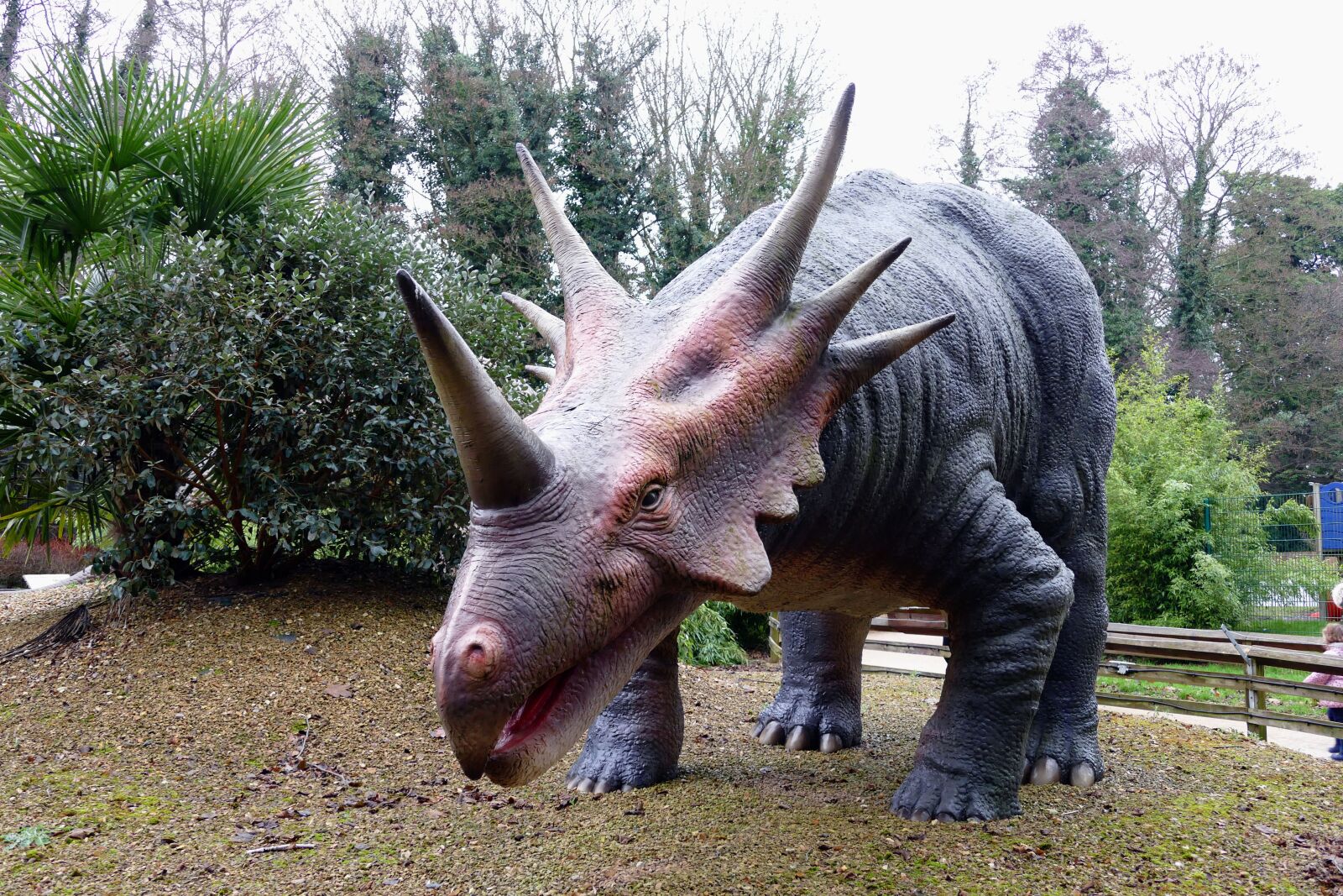 Panasonic Lumix DMC-FZ1000 sample photo. Dinosaurs, prehistoric, jurassic photography