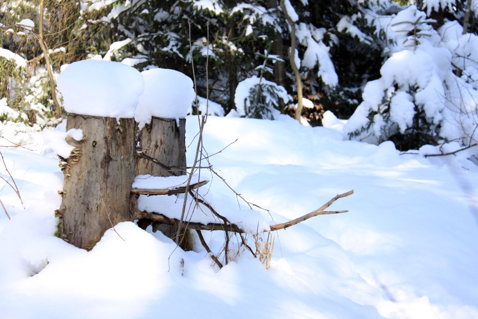 Canon EOS 50D sample photo. Snow, winter, cold photography