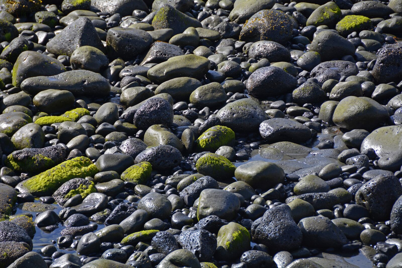 Nikon D7100 sample photo. Stones, moss, water photography
