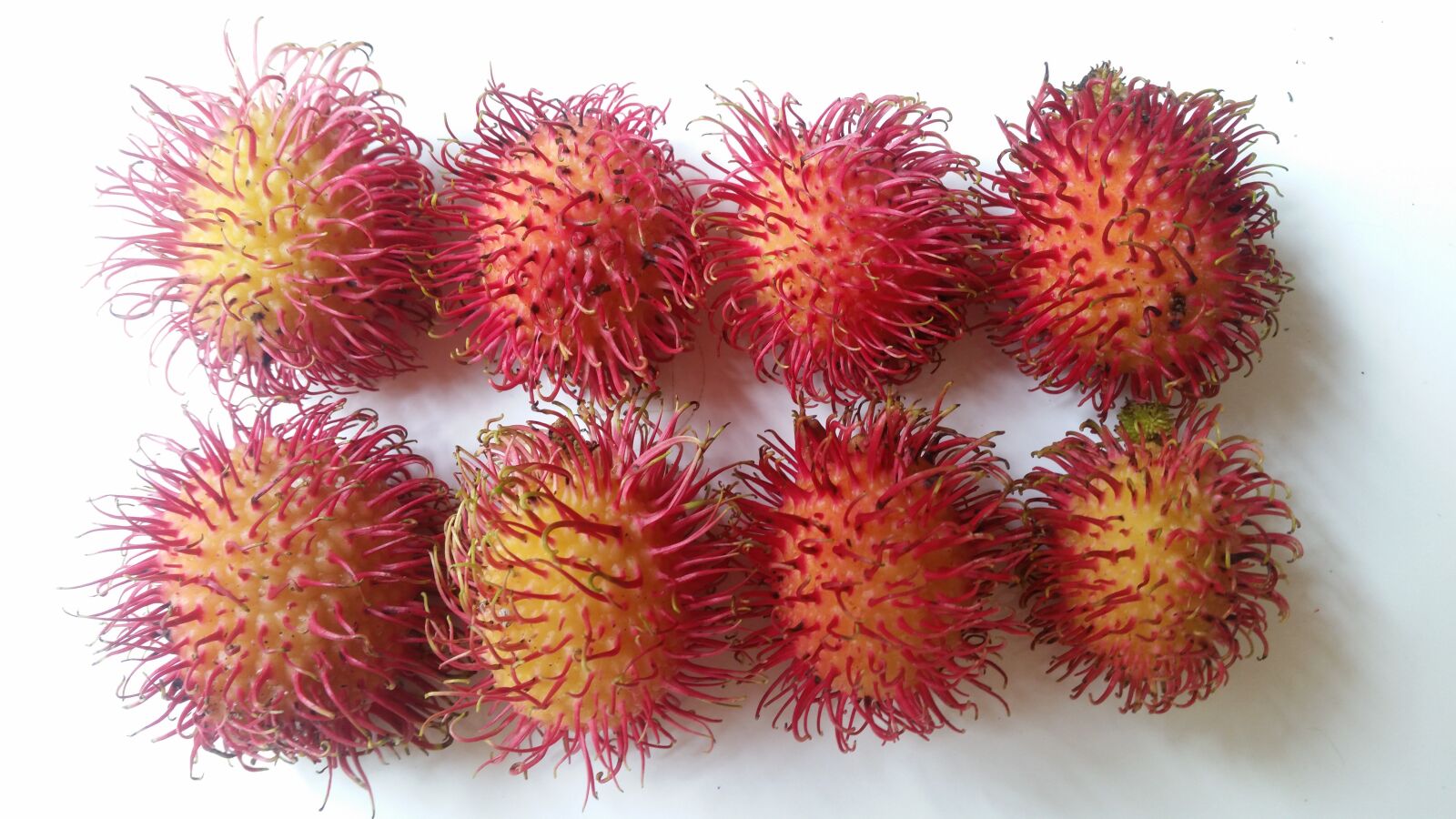 Samsung Galaxy S5 sample photo. Fruit, rambutan, food photography