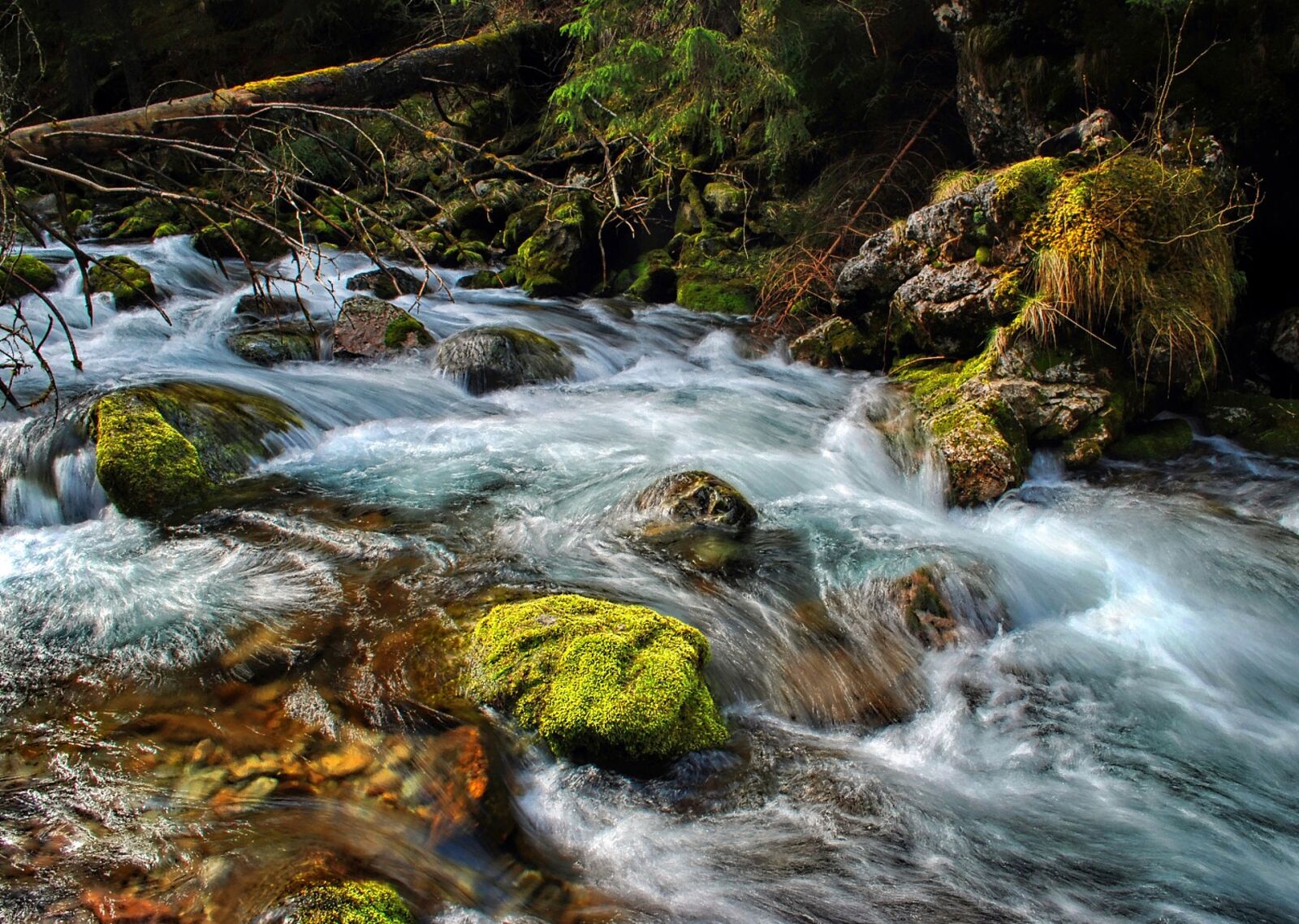 Nikon D80 sample photo. Torrent, stream, tatry photography