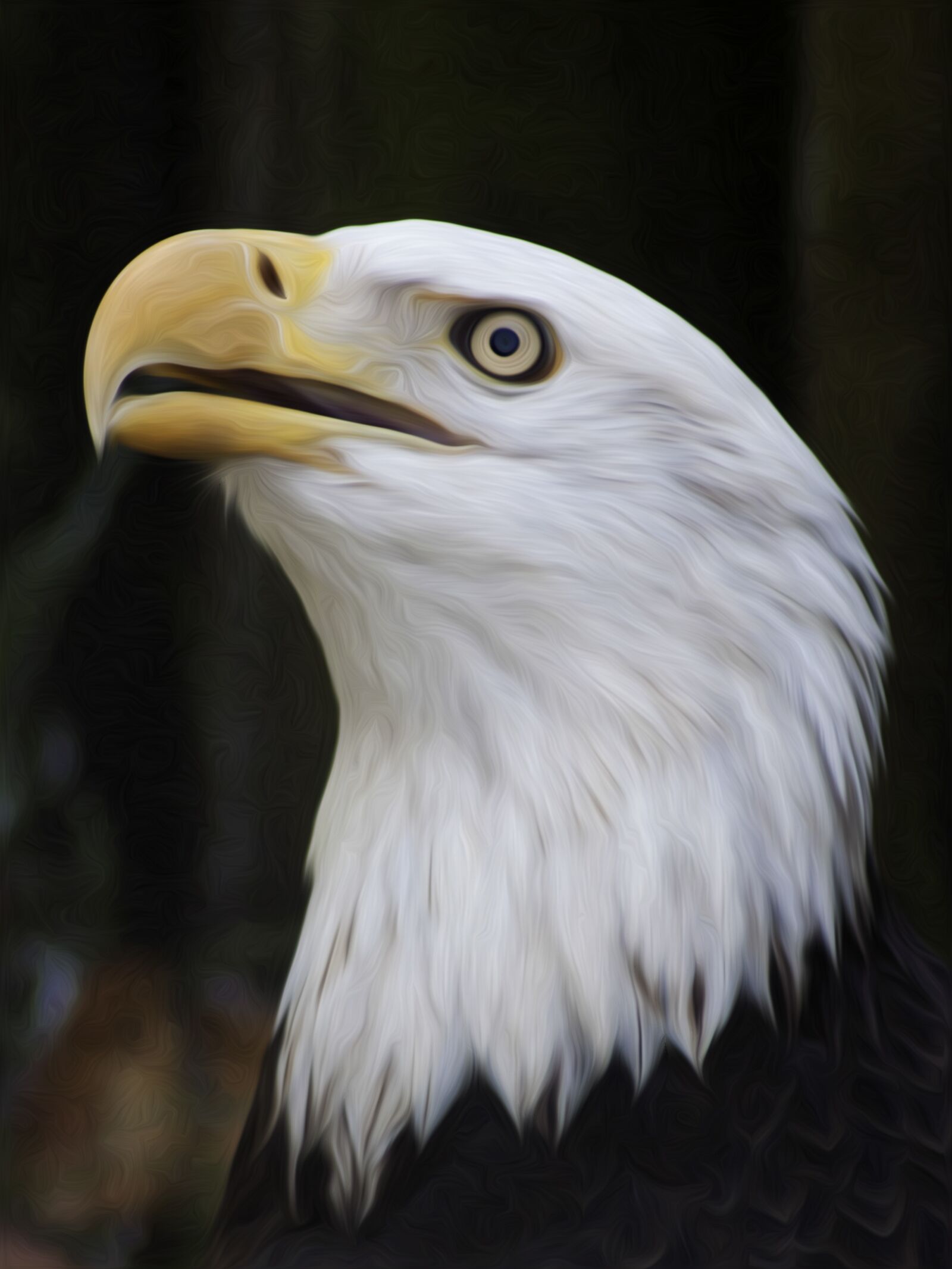 Canon EF 75-300mm f/4-5.6 sample photo. Eagle, nature, bird photography