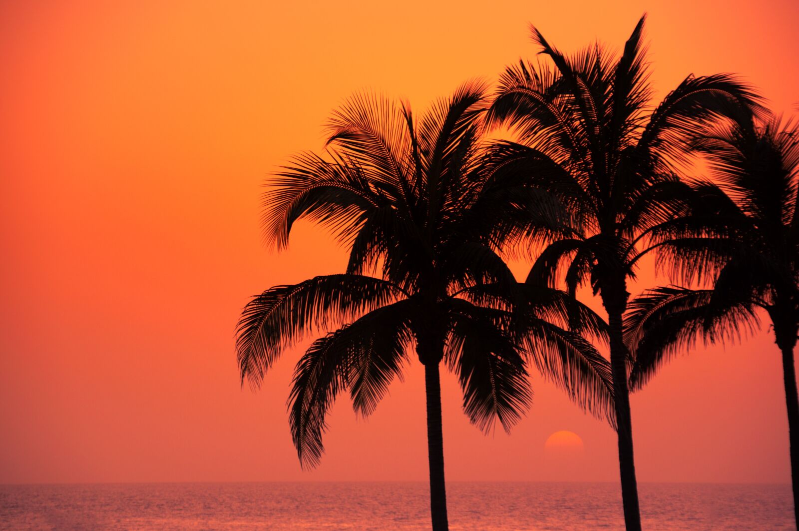 Nikon D90 sample photo. Canary islands, gran canaria photography