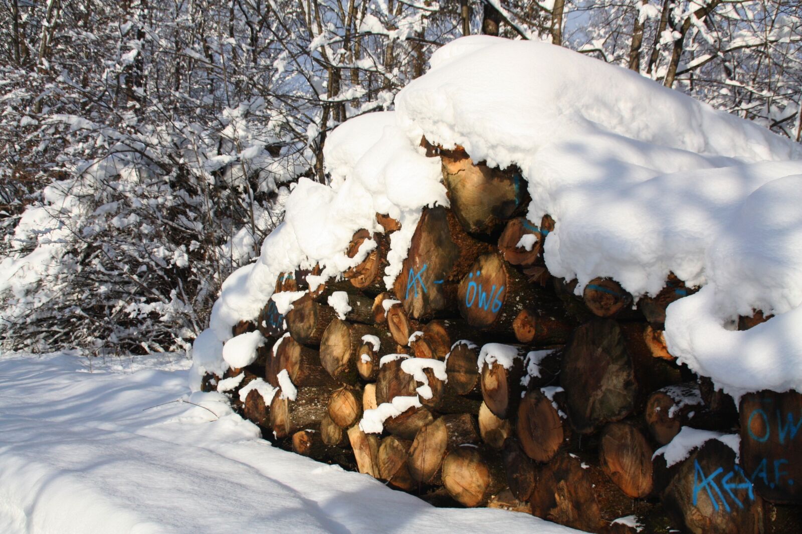Canon EOS 450D (EOS Rebel XSi / EOS Kiss X2) sample photo. Winter, snow, firewood photography