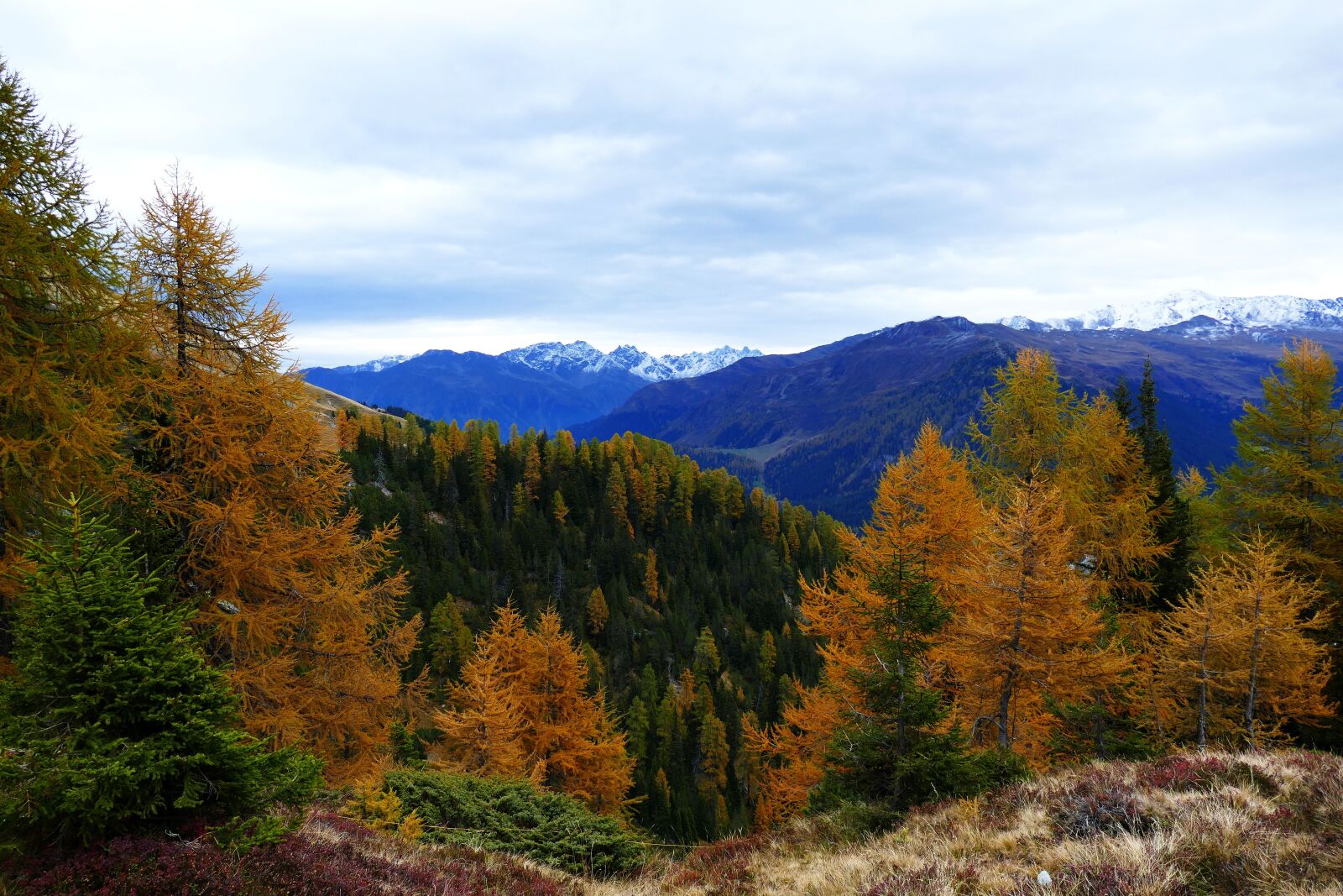 Panasonic Lumix DMC-FZ1000 sample photo. Autumn, larch, davos photography
