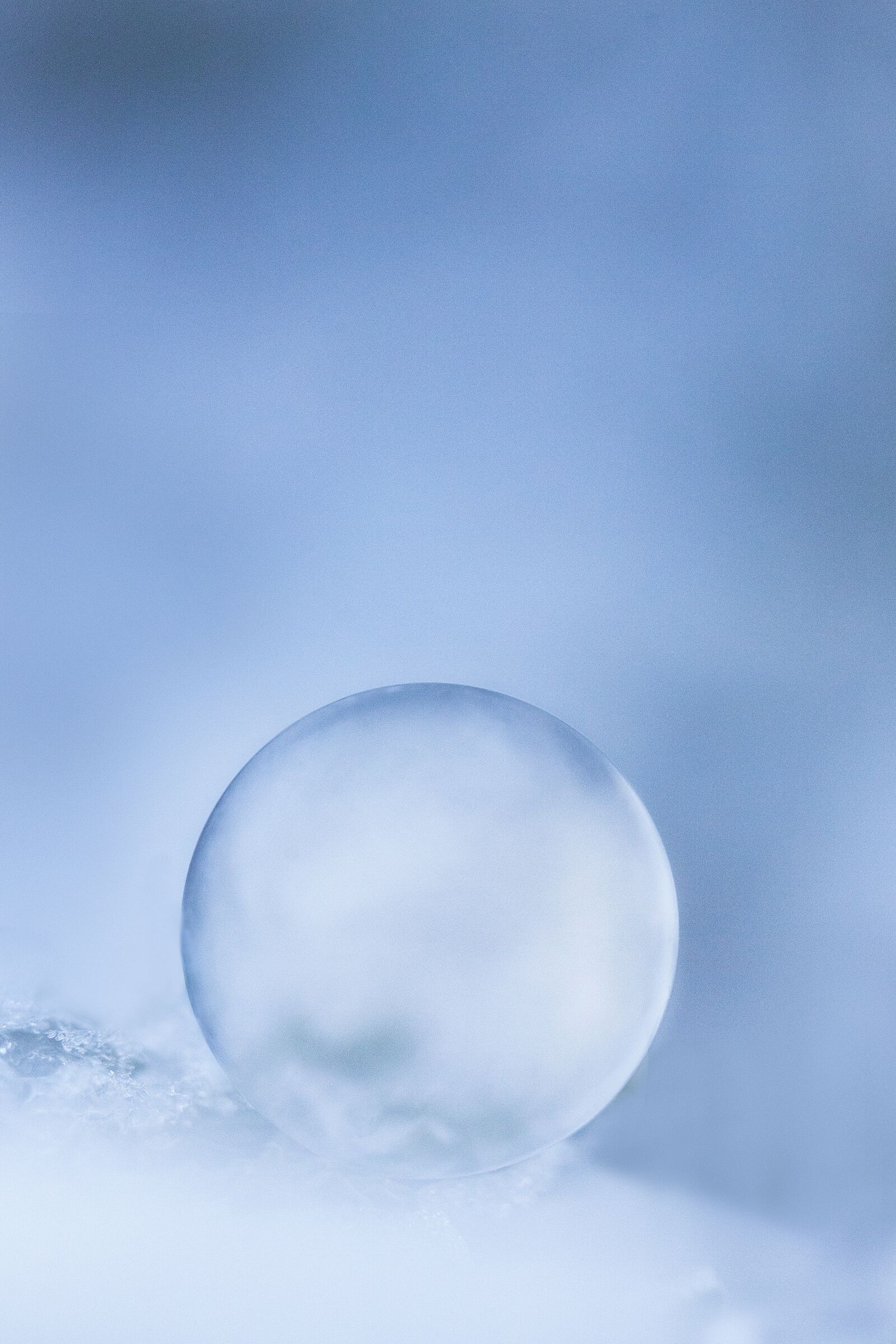 Canon EOS 5D Mark II + Canon EF 100mm F2.8 Macro USM sample photo. Relax, winter, ice photography