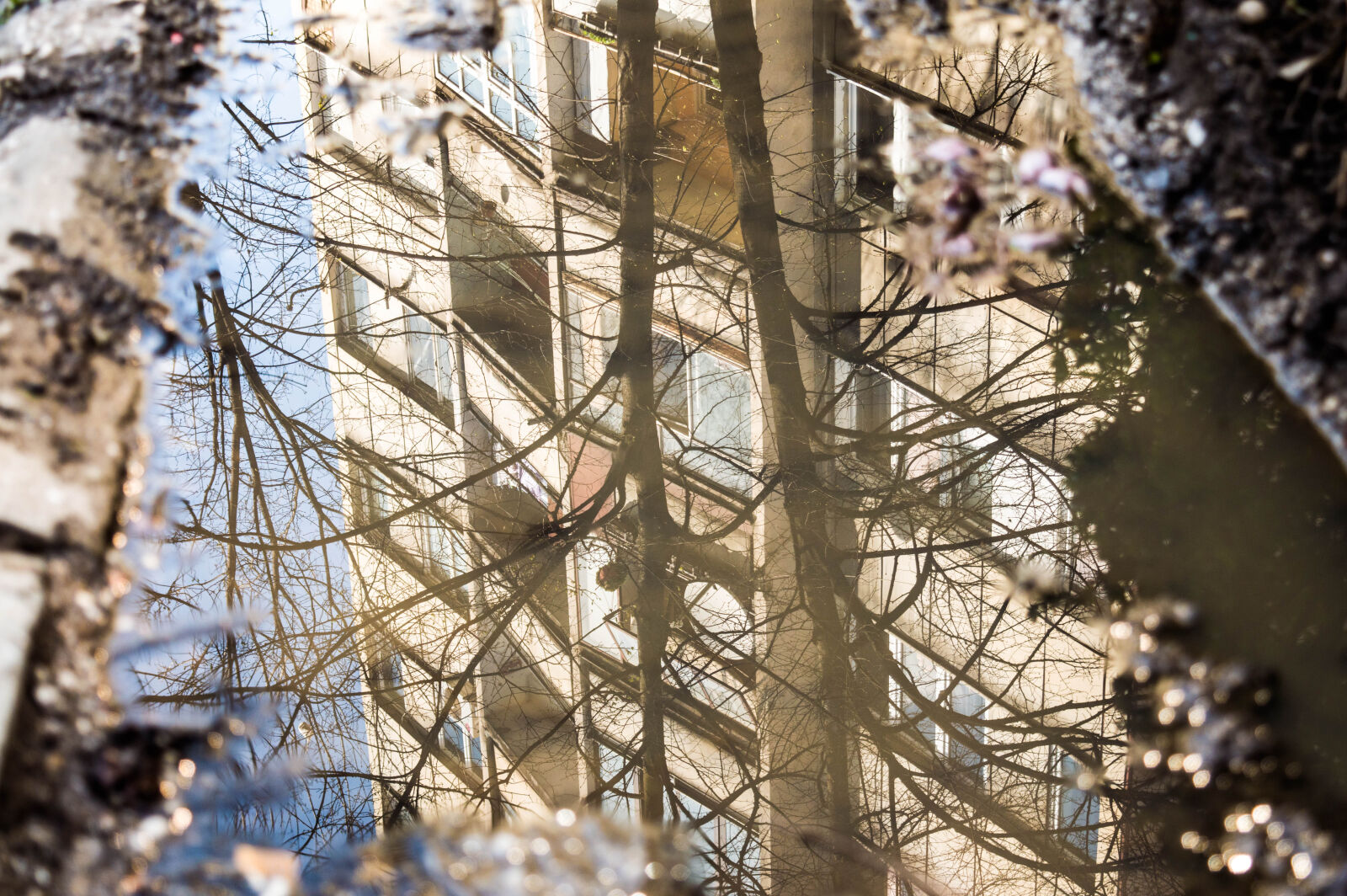 Nikon D3200 sample photo. Building, mud, reflection, trees photography