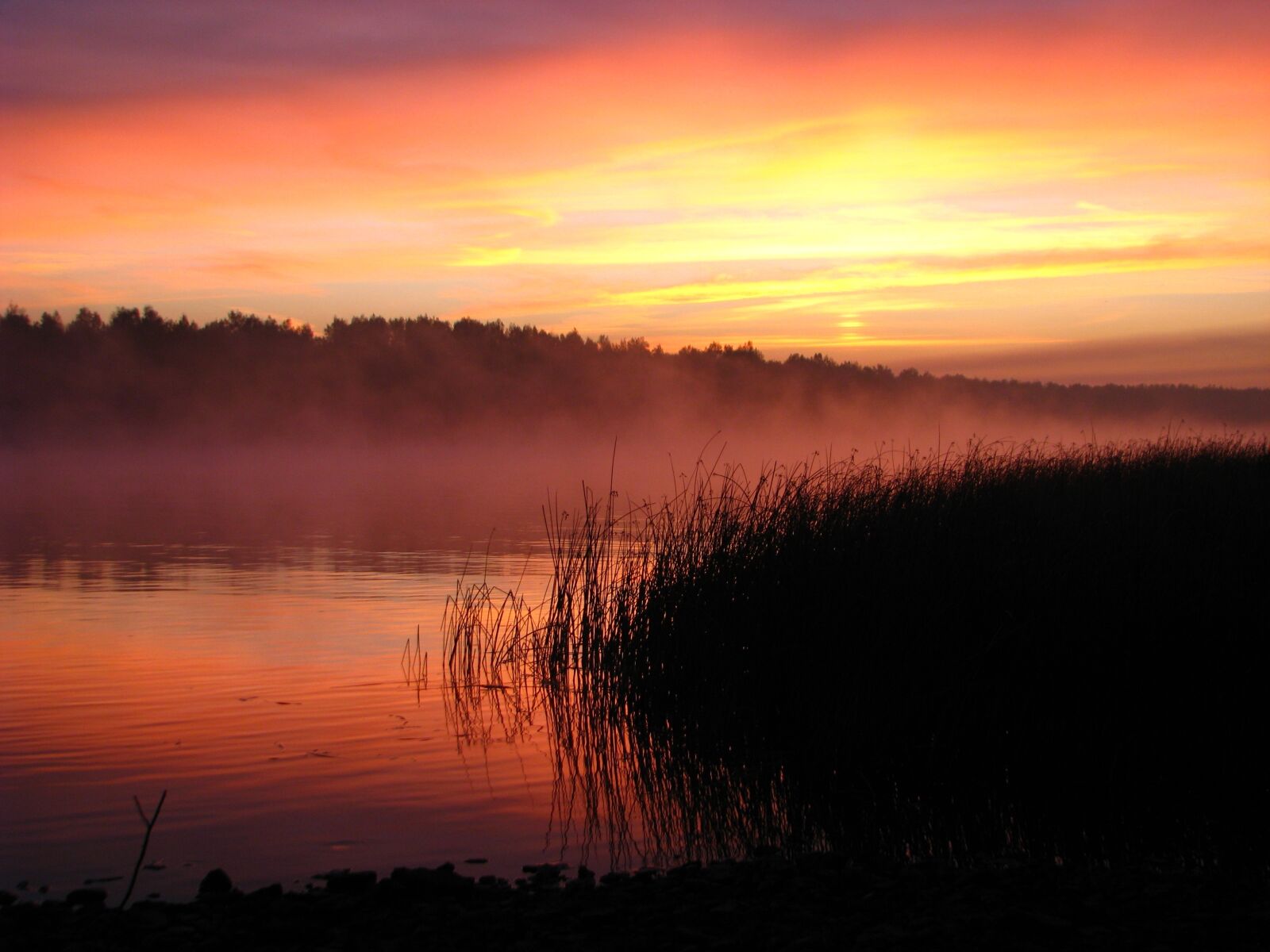 Canon POWERSHOT S5 IS sample photo. Sunrise, river, backwater photography