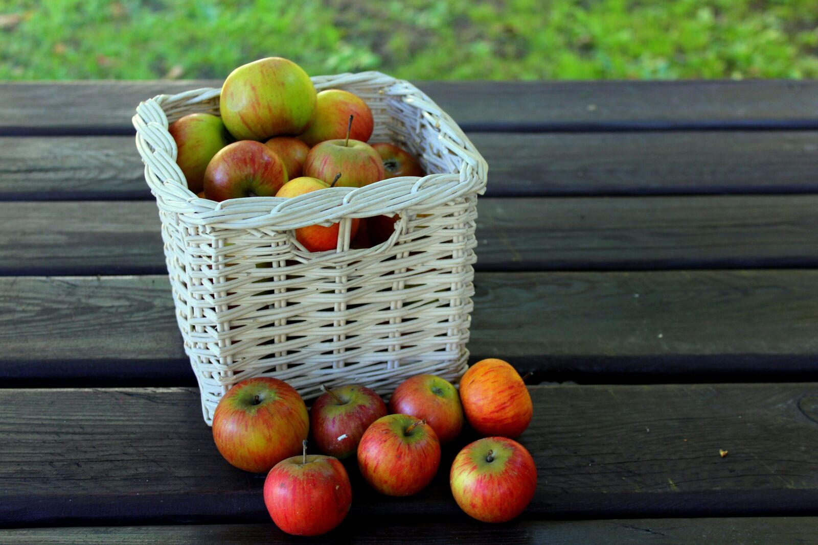 Canon EOS 1200D (EOS Rebel T5 / EOS Kiss X70 / EOS Hi) sample photo. Basket, fruit, basket with photography