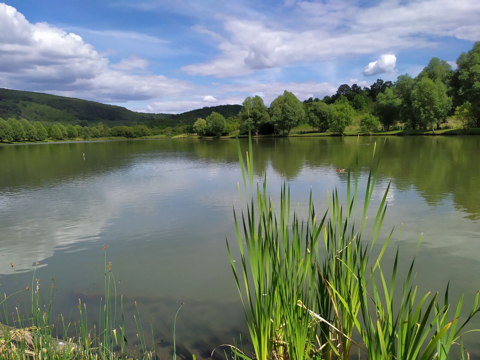 Xiaomi Redmi Note 7 sample photo. Lake, water, nature photography