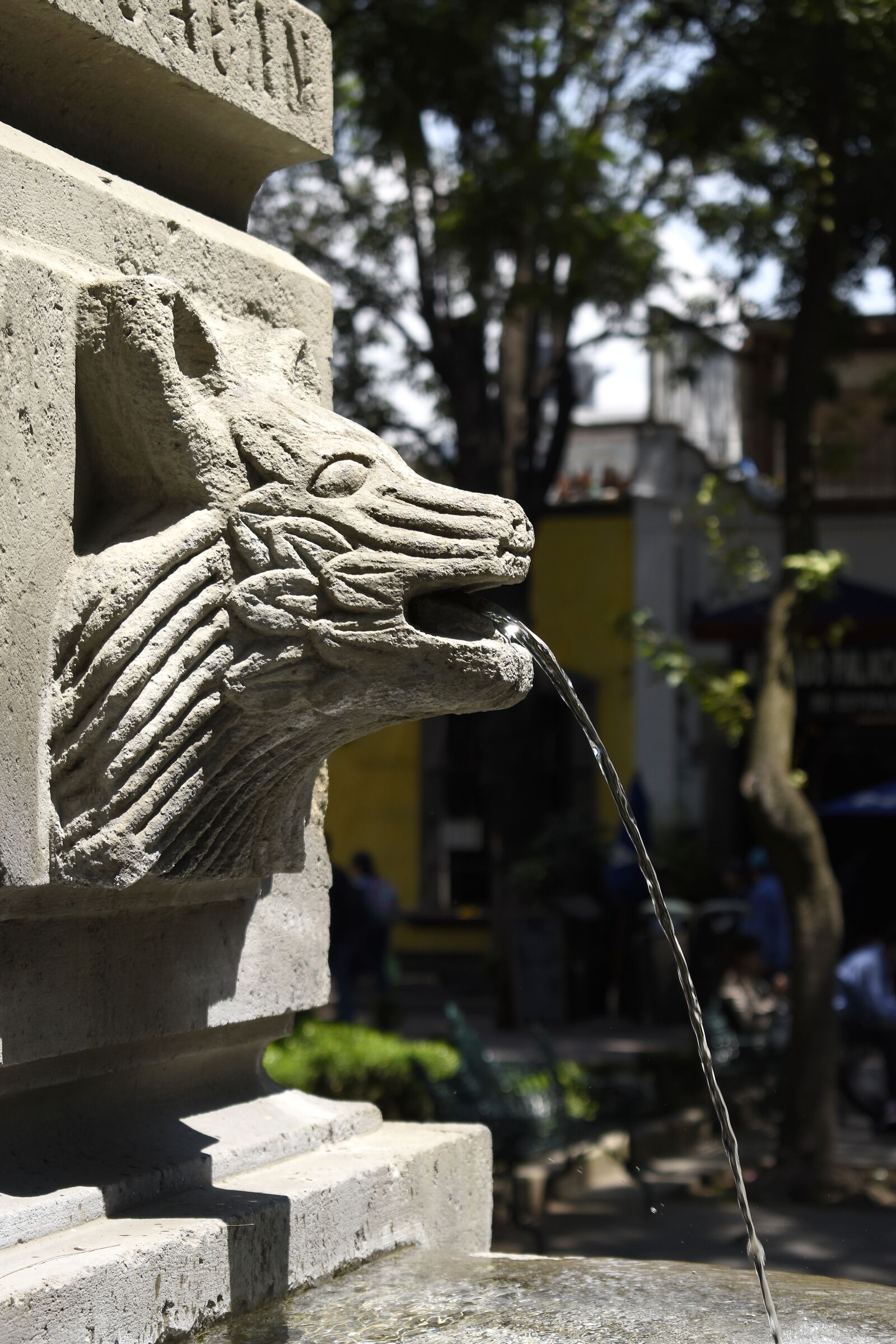 Nikon D3400 sample photo. Cdmx, source, mexico photography