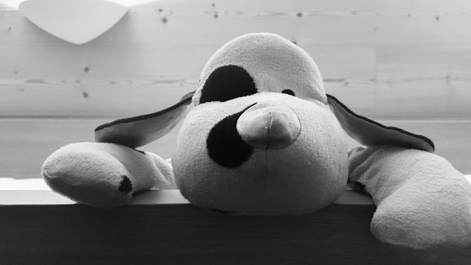 Apple iPhone 6s sample photo. Black and white, contrast photography