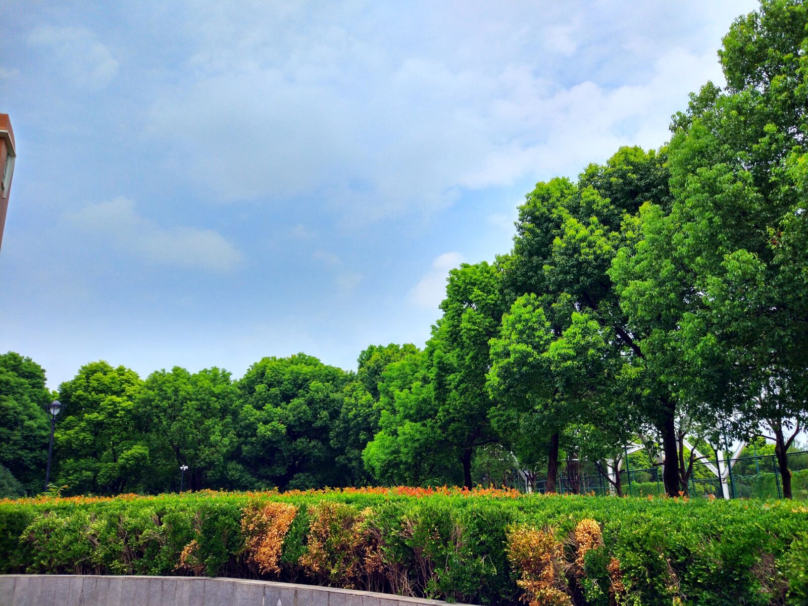 Xiaomi MI 5 sample photo. Trees, sky, tree photography