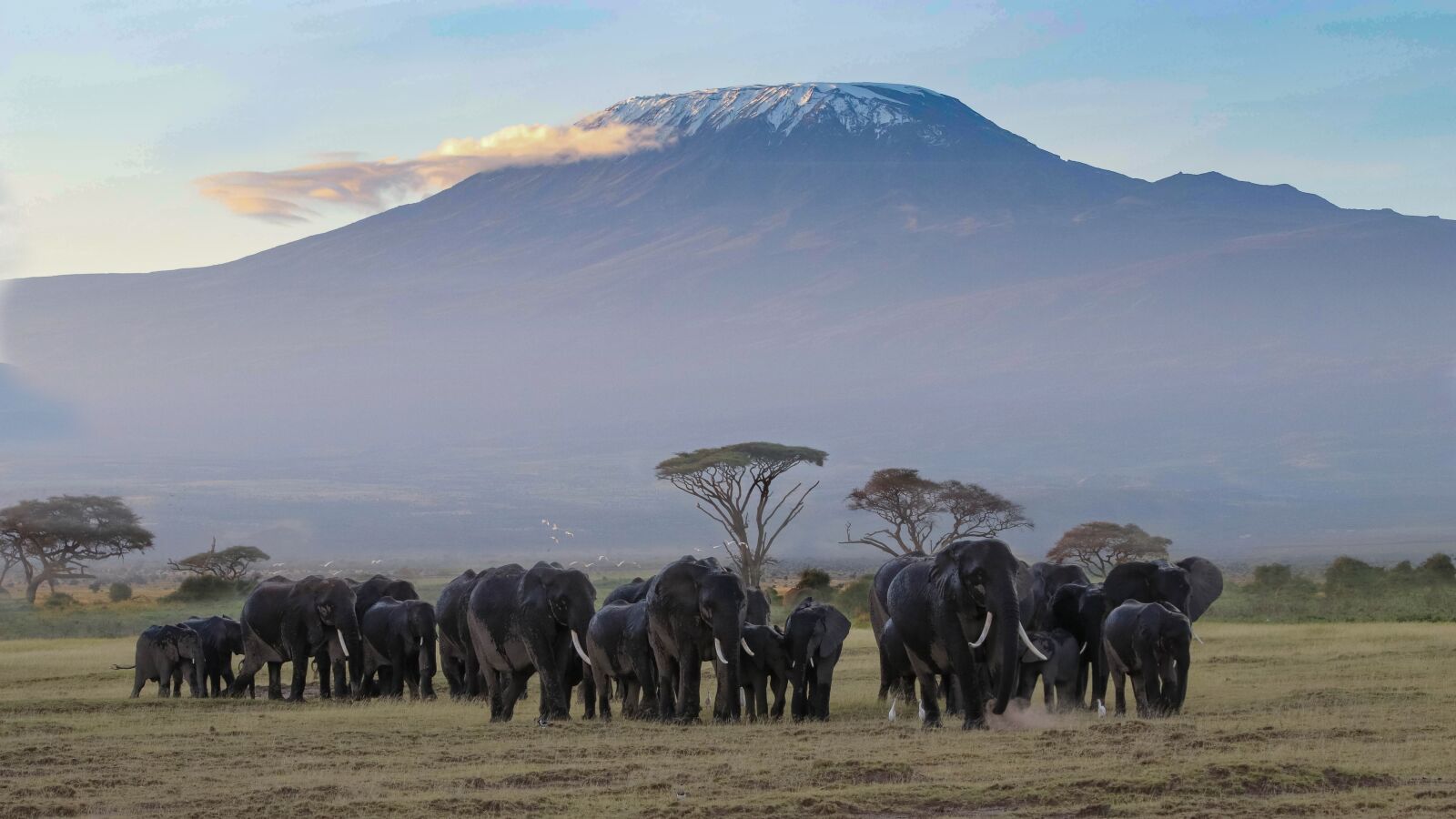 Canon EOS 80D sample photo. Africa, kenya, amboseli photography