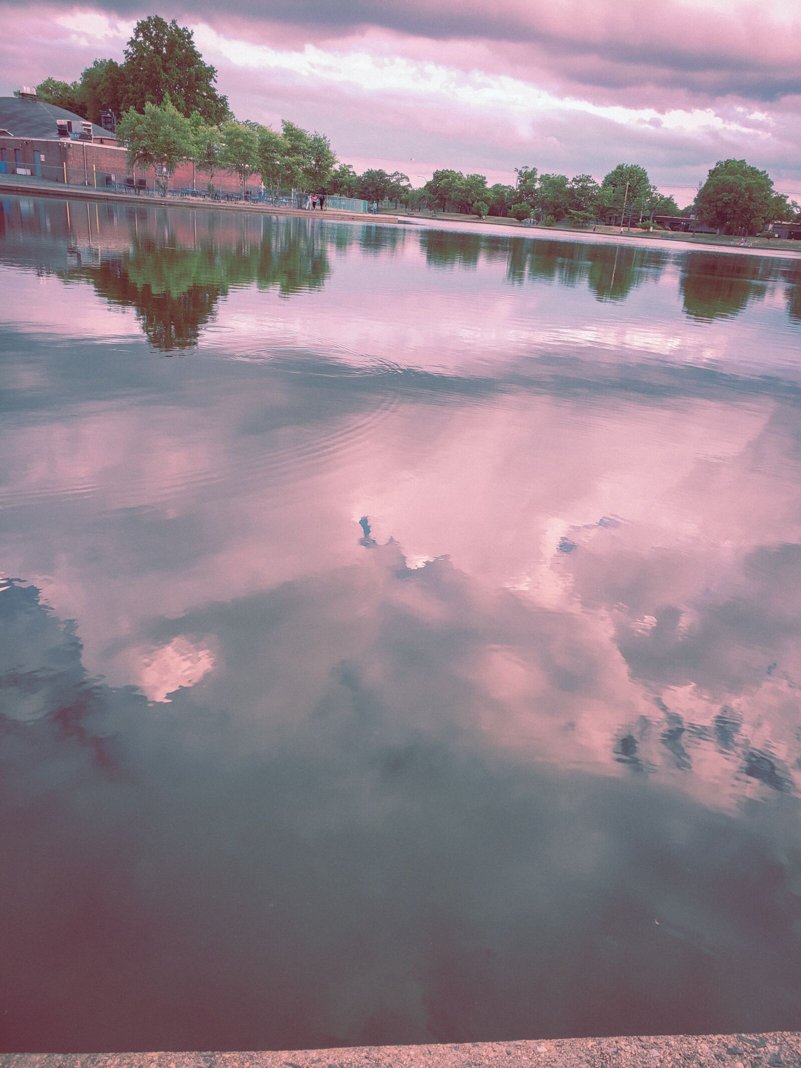 Samsung Galaxy S9 sample photo. Water, pond, dusk photography