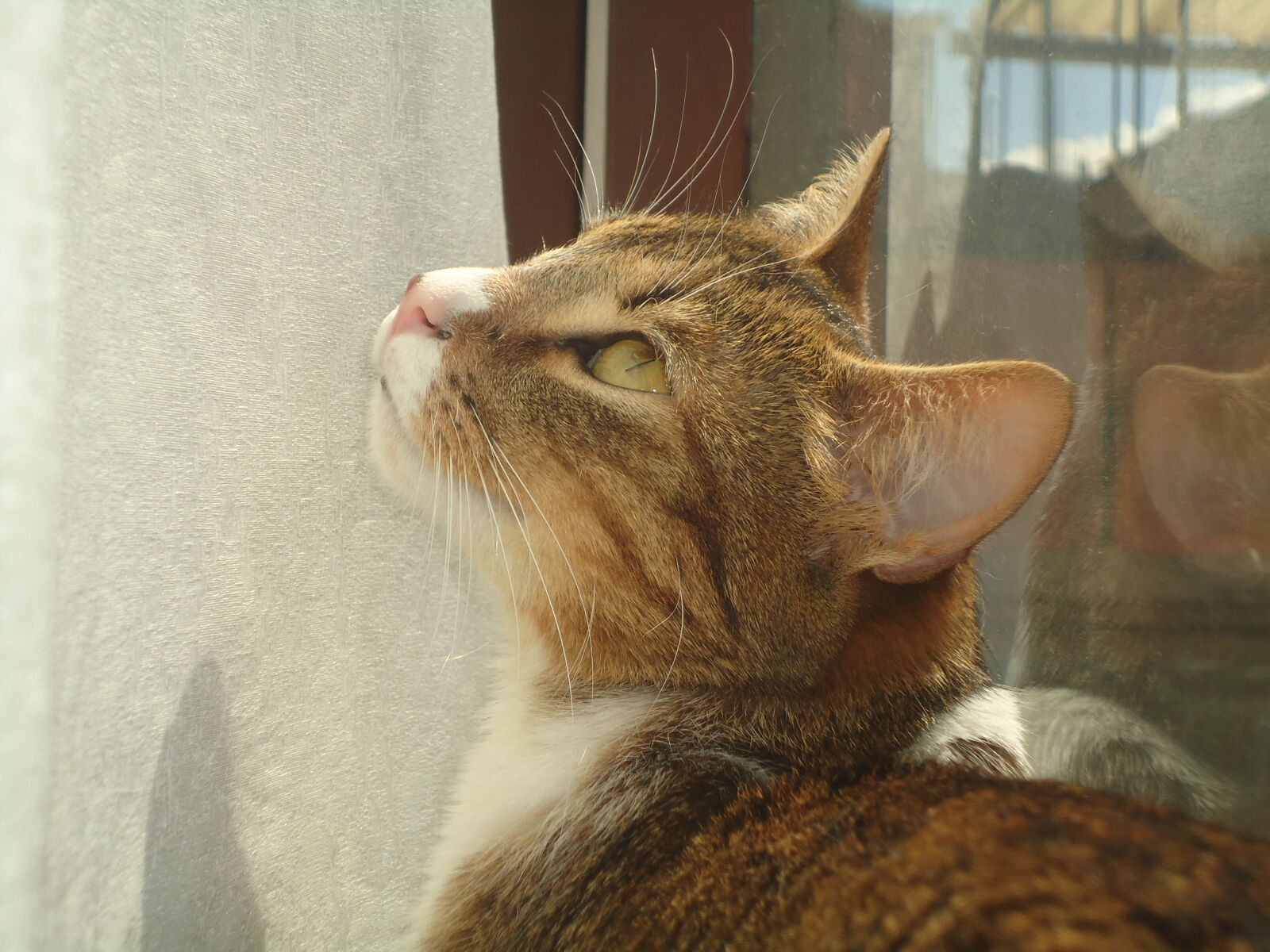 Sony Cyber-shot DSC-W320 sample photo