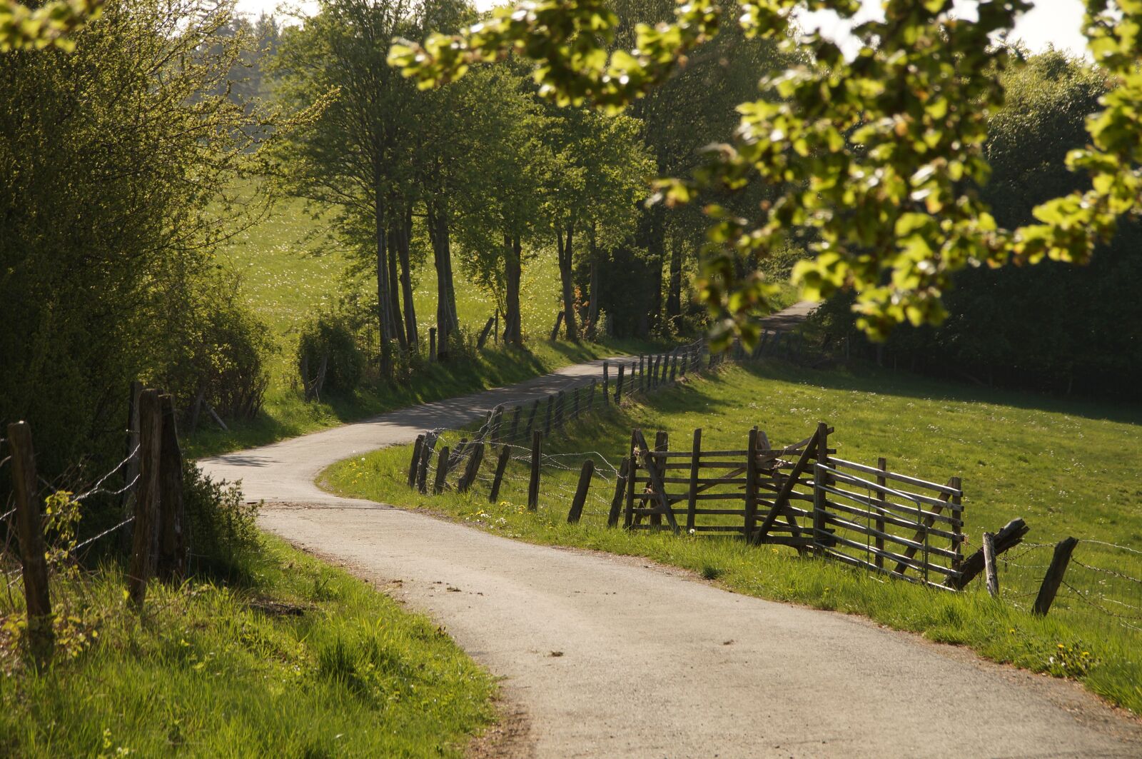 Sony SLT-A57 sample photo. Trail, coupling, fence photography