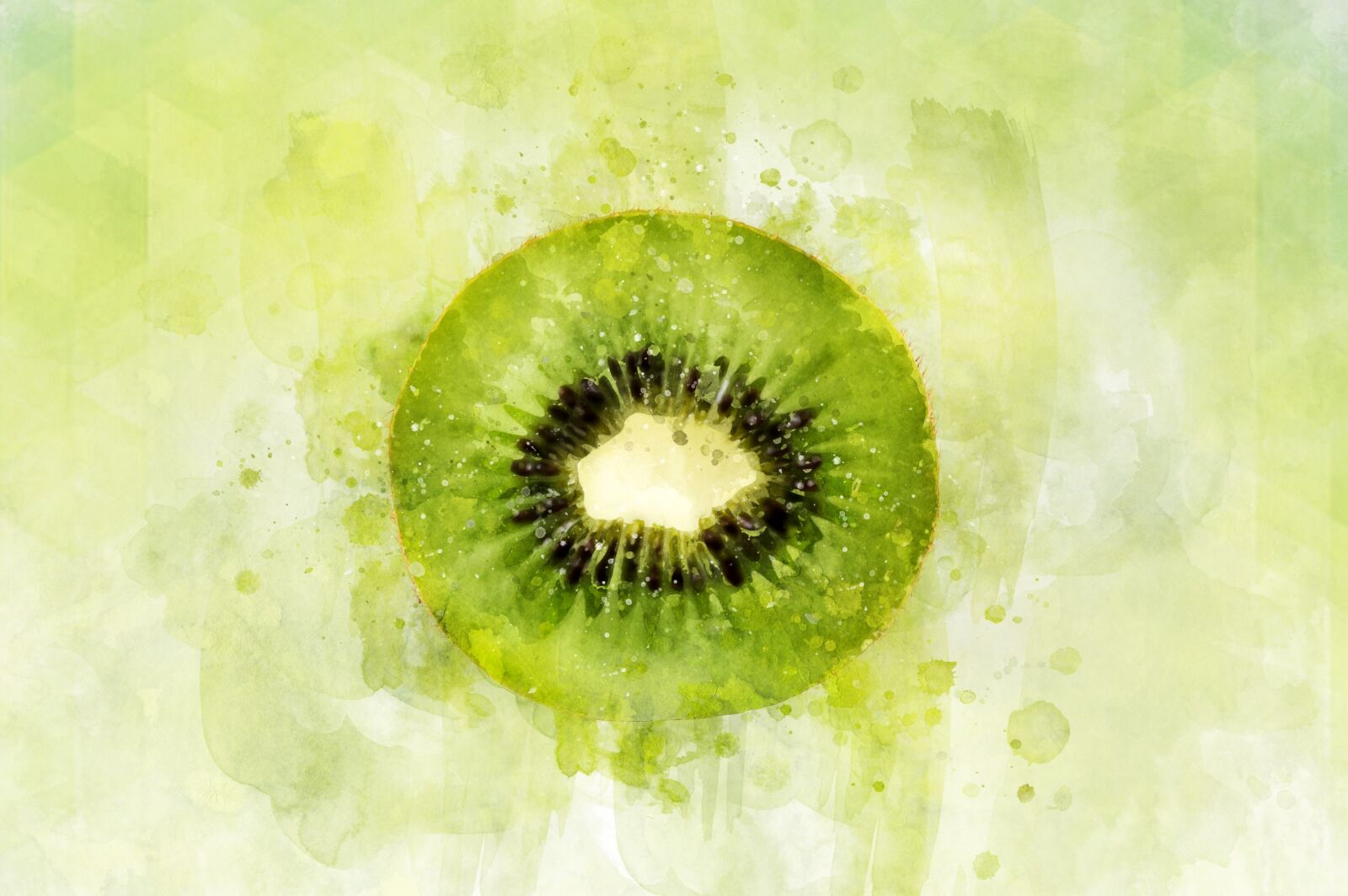 Nikon D40 sample photo. Kiwi, fruit, watercolor photography