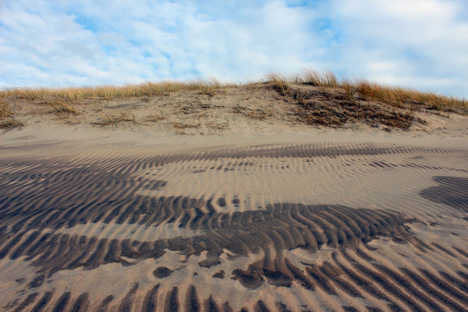 Canon EOS 650D (EOS Rebel T4i / EOS Kiss X6i) sample photo. Landscape, dune, north sea photography