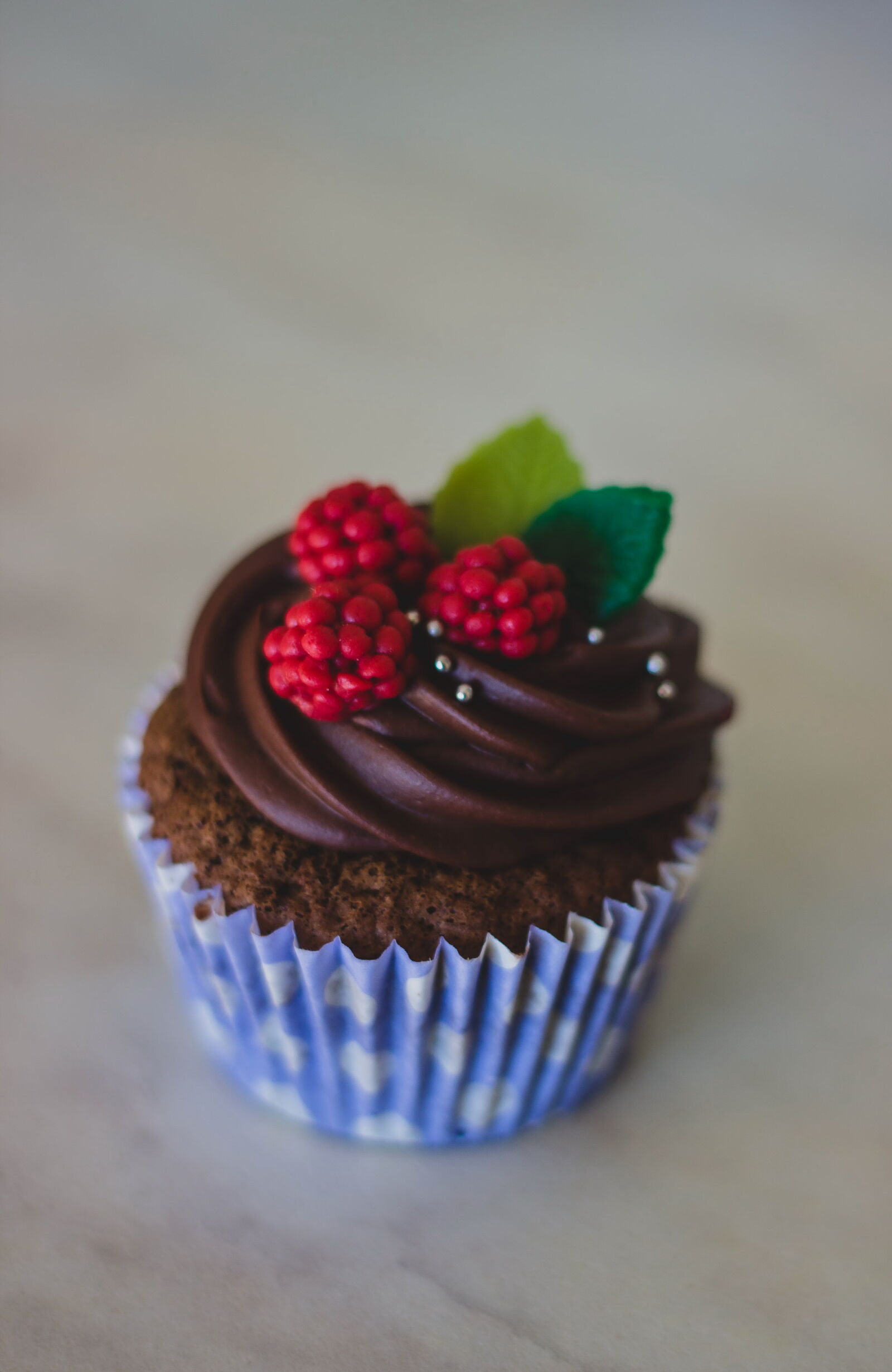 Canon EOS 600D (Rebel EOS T3i / EOS Kiss X5) + Canon EF 50mm F1.8 II sample photo. Berries, chocolate, cupcake, delicious photography