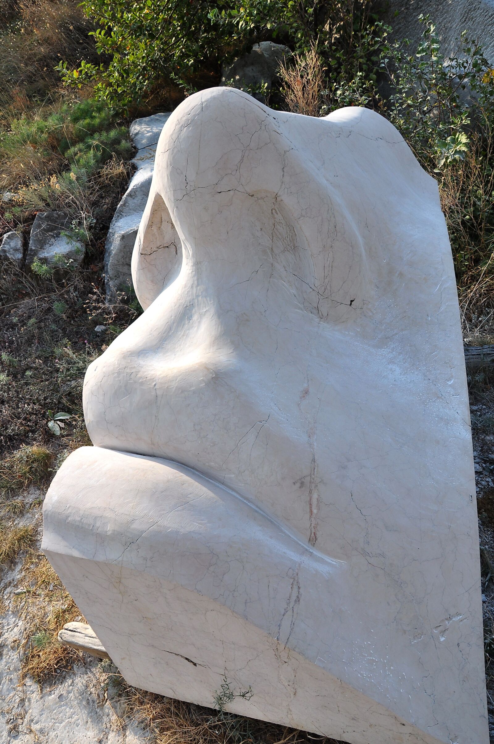 Nikon D90 sample photo. Statue, facial, carving photography