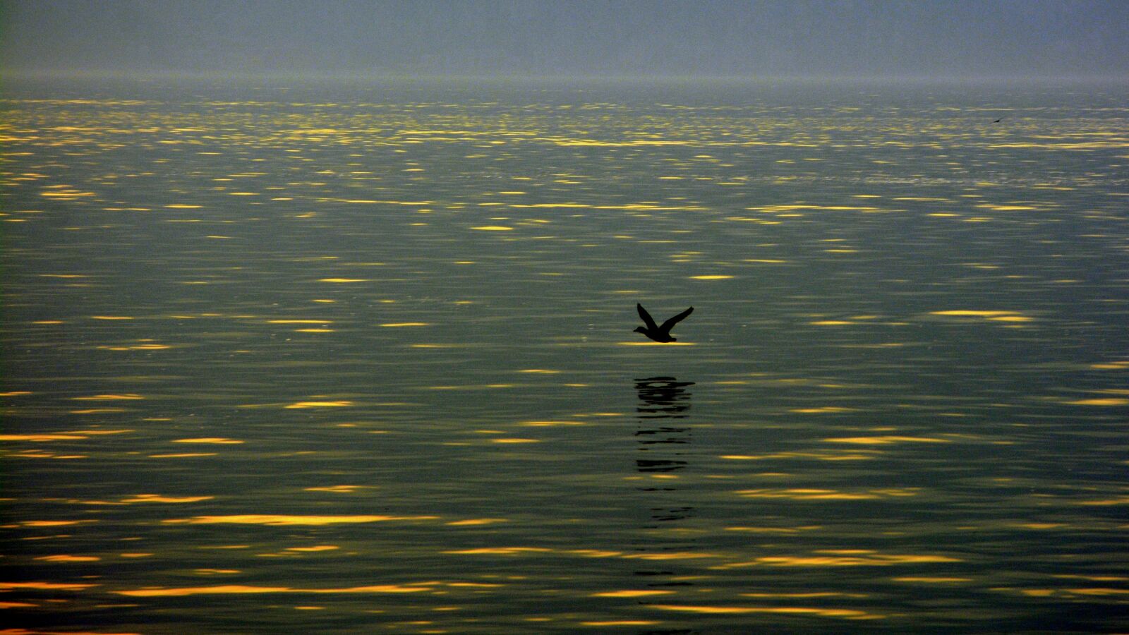 Nikon D7100 sample photo. Fly, lake, water photography