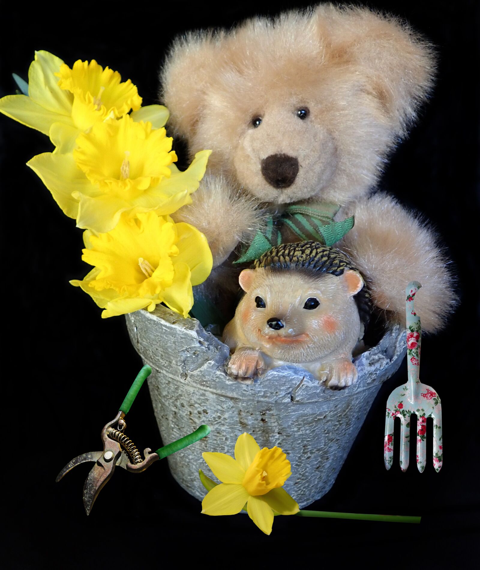 Olympus TG-5 sample photo. Teddy, bear, cute photography