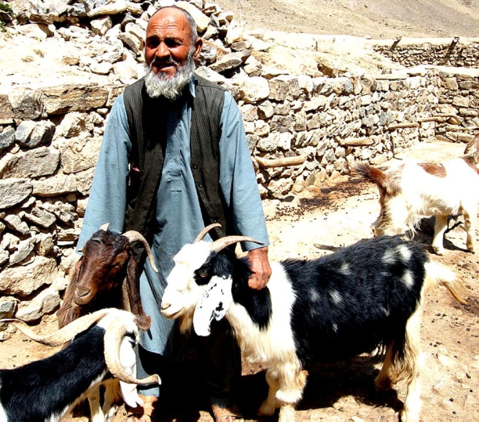 Nikon D40 sample photo. Khodaar, herdsman, village, sumdara photography