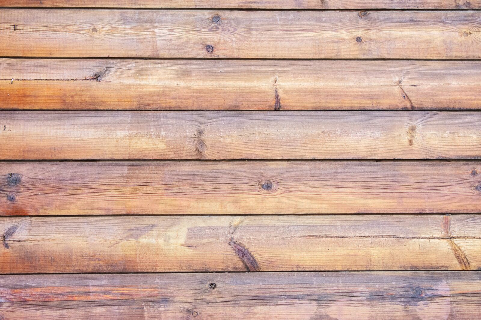 Nikon D7200 sample photo. Tree, fence, texture photography